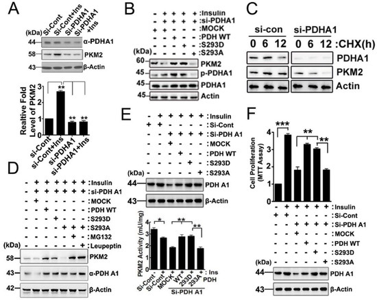 IJMS | Free Full-Text | Association of Phosphorylated Pyruvate ...