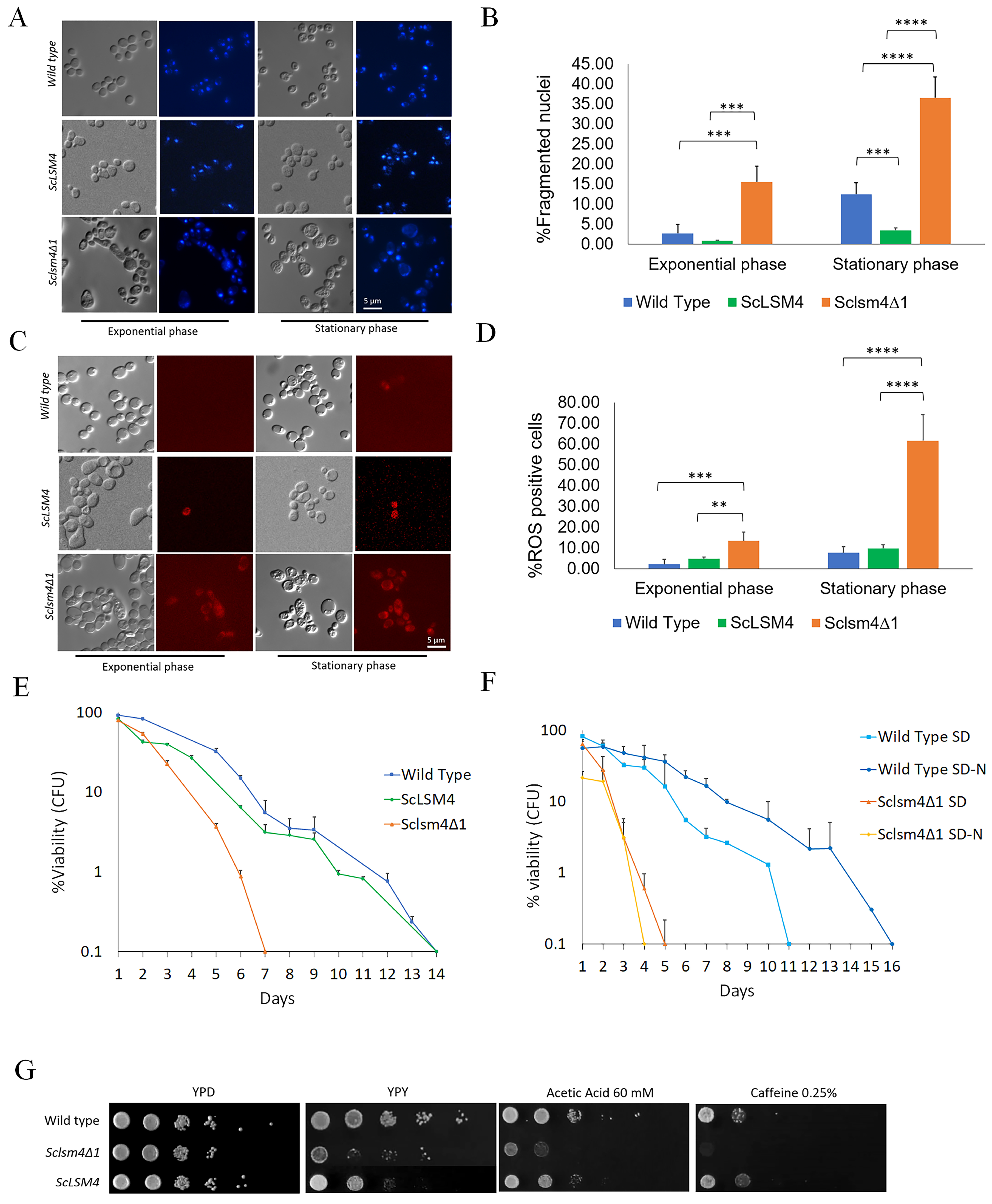 Ijms 24 13708 g001 Ijms 24 13708 g001