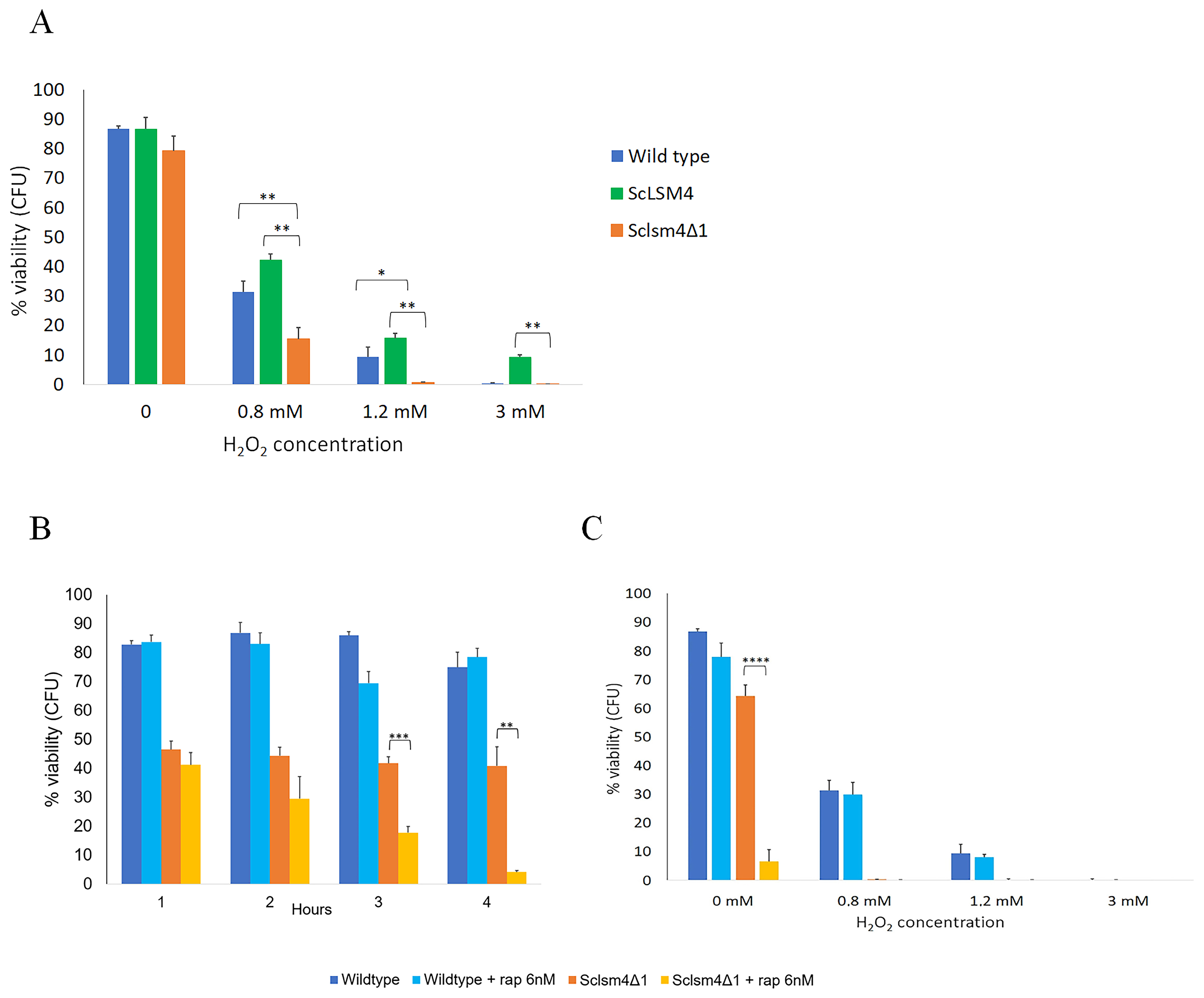 Ijms 24 13708 g003 Ijms 24 13708 g003