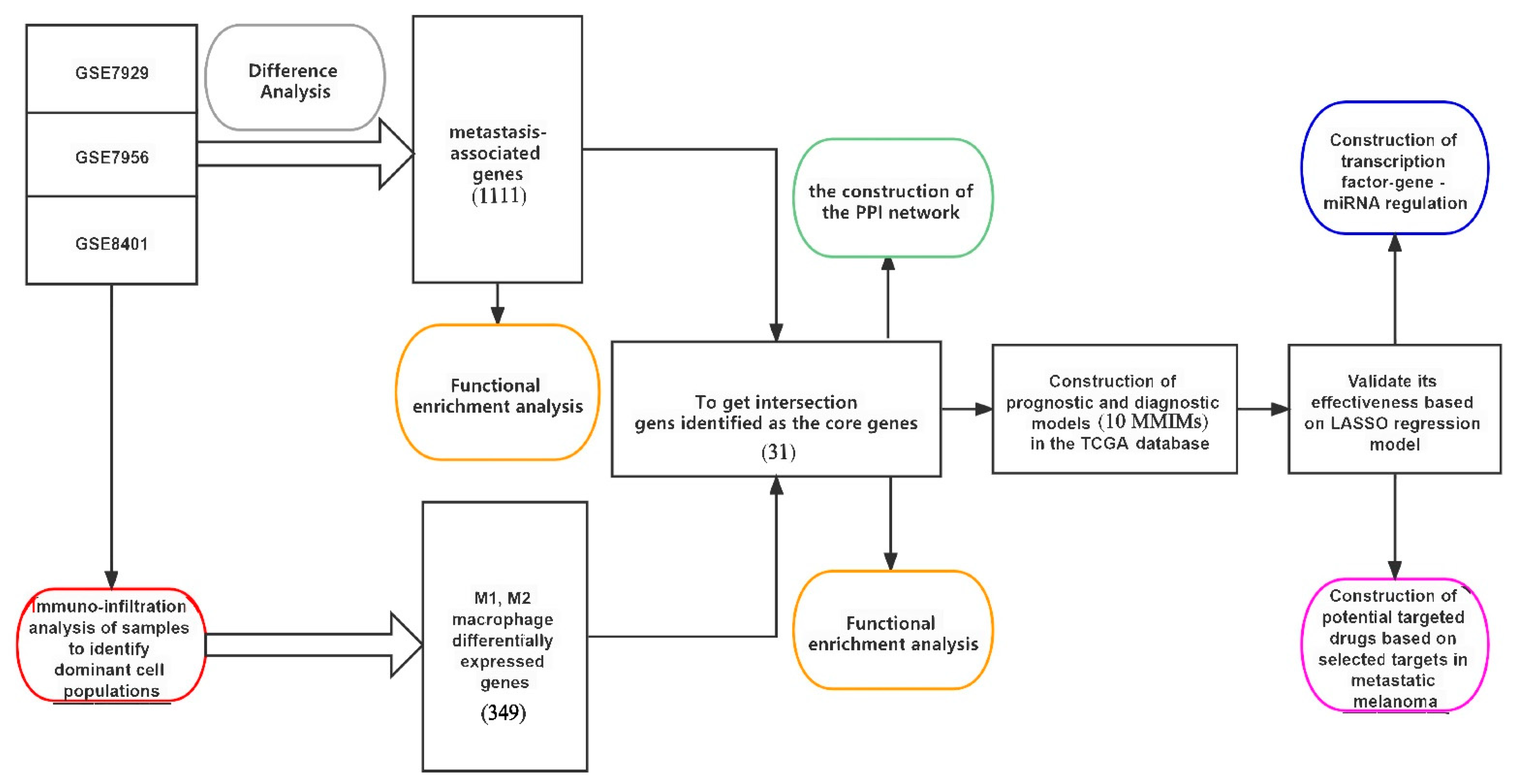 Ijms 24 13752 g001 Ijms 24 13752 g001