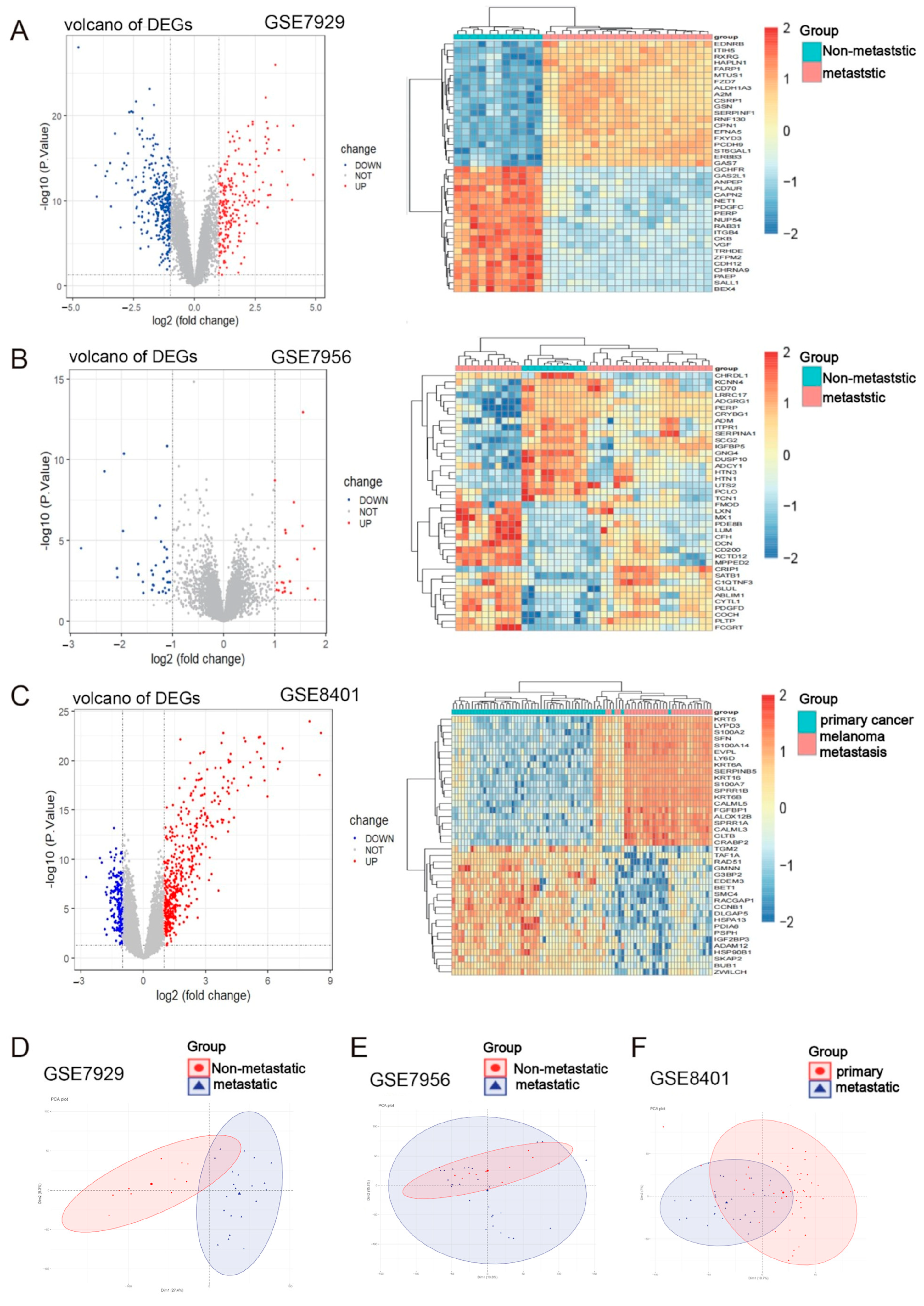 Ijms 24 13752 g002 Ijms 24 13752 g002