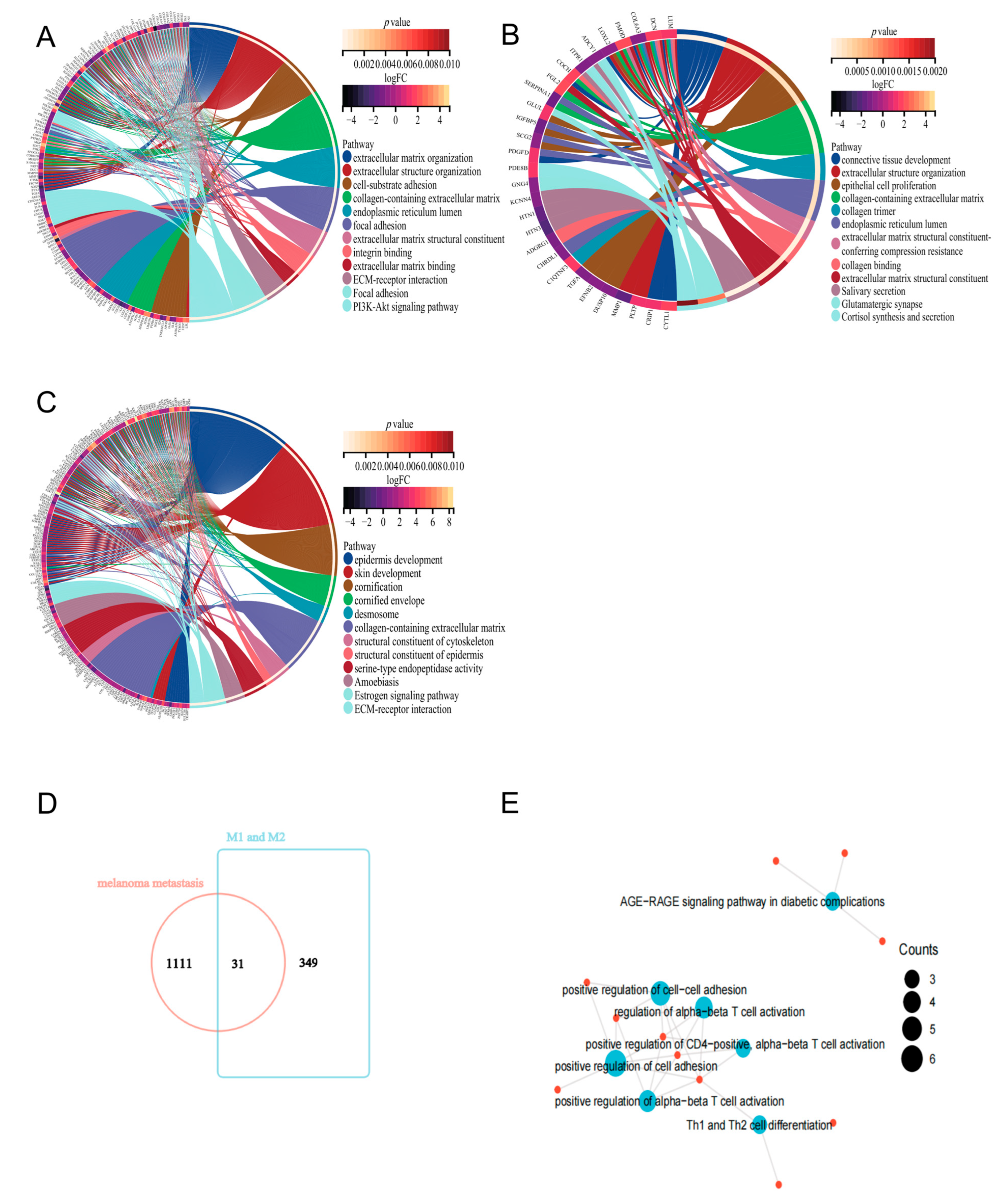Ijms 24 13752 g004 Ijms 24 13752 g004