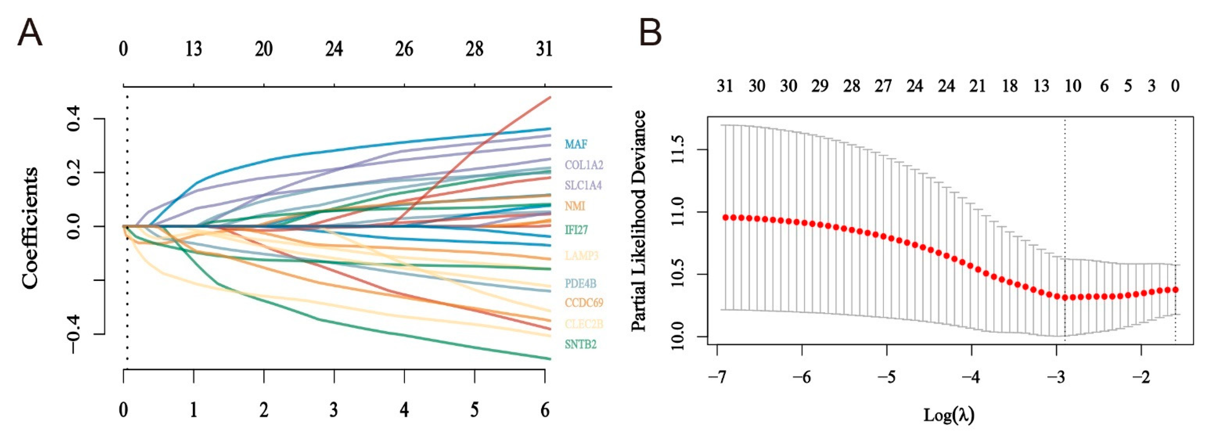 Ijms 24 13752 g005a Ijms 24 13752 g005a