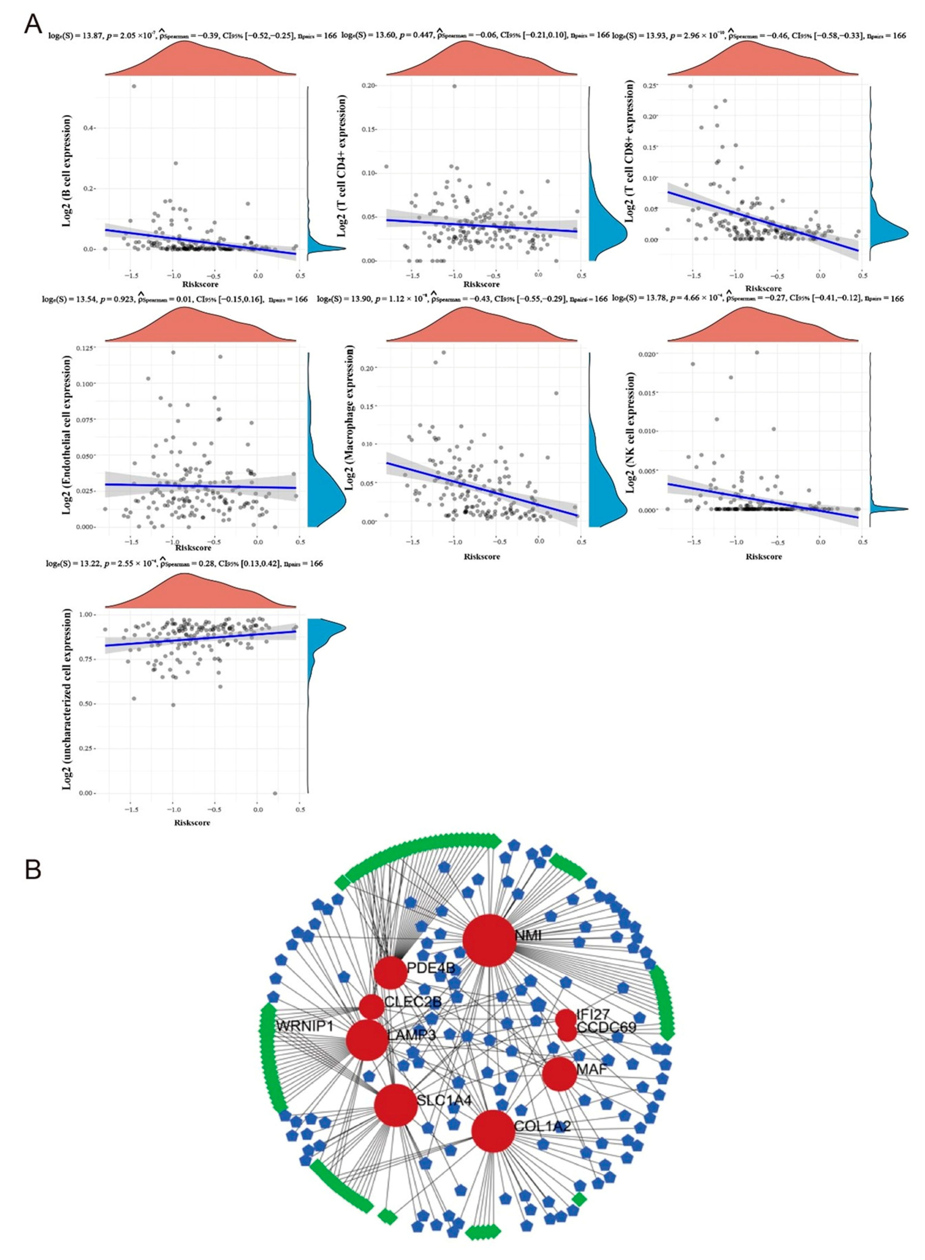 Ijms 24 13752 g008 Ijms 24 13752 g008