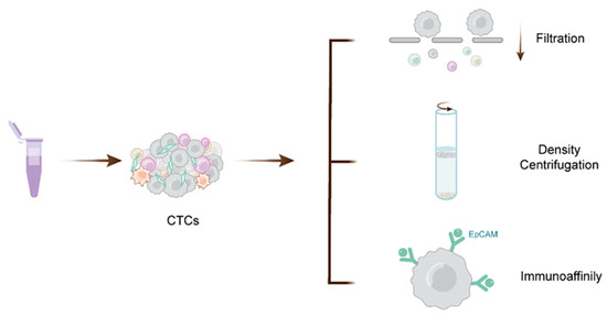 CTC, ctDNA, and Exosome in Thyroid Cancers: A Review
