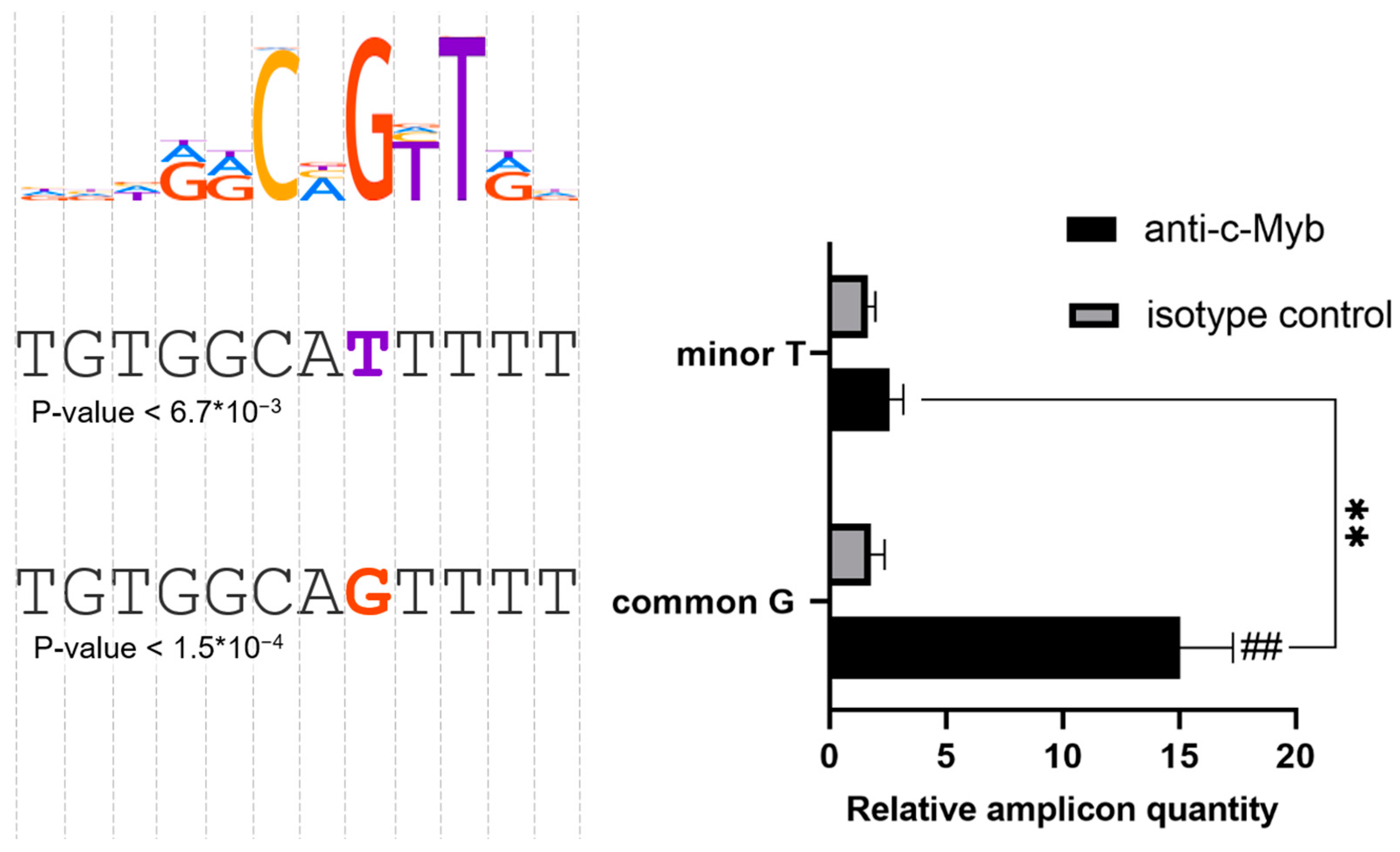 Ijms 24 13790 g003 Ijms 24 13790 g003