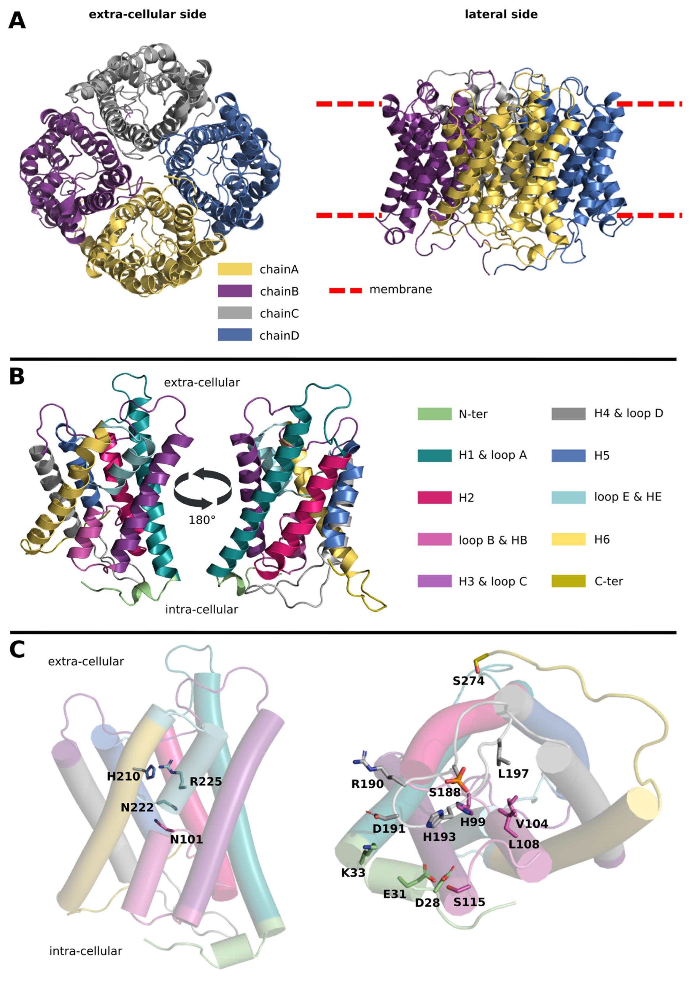 Ijms 24 13798 g001 Ijms 24 13798 g001