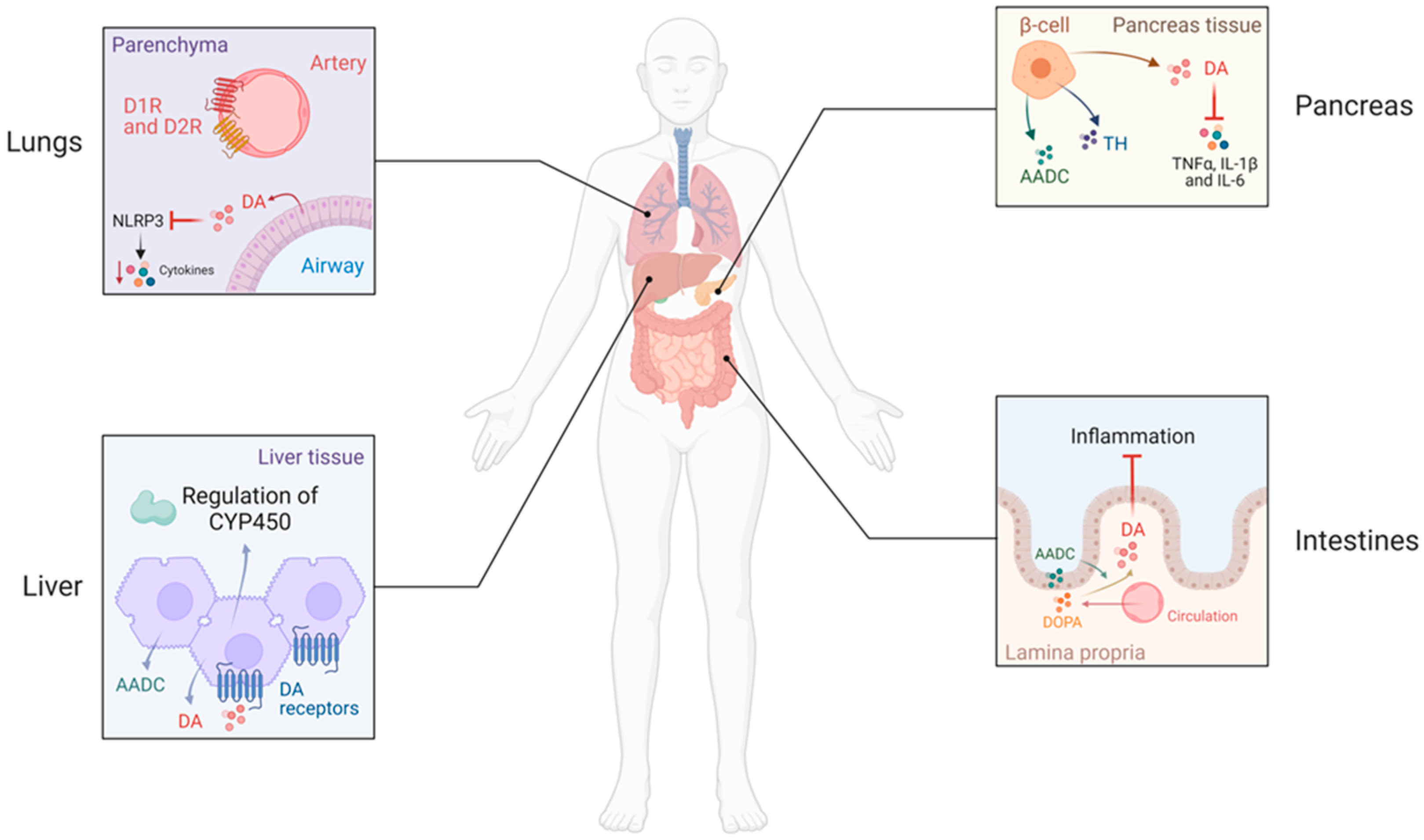 Ijms 24 13816 g001 Ijms 24 13816 g001