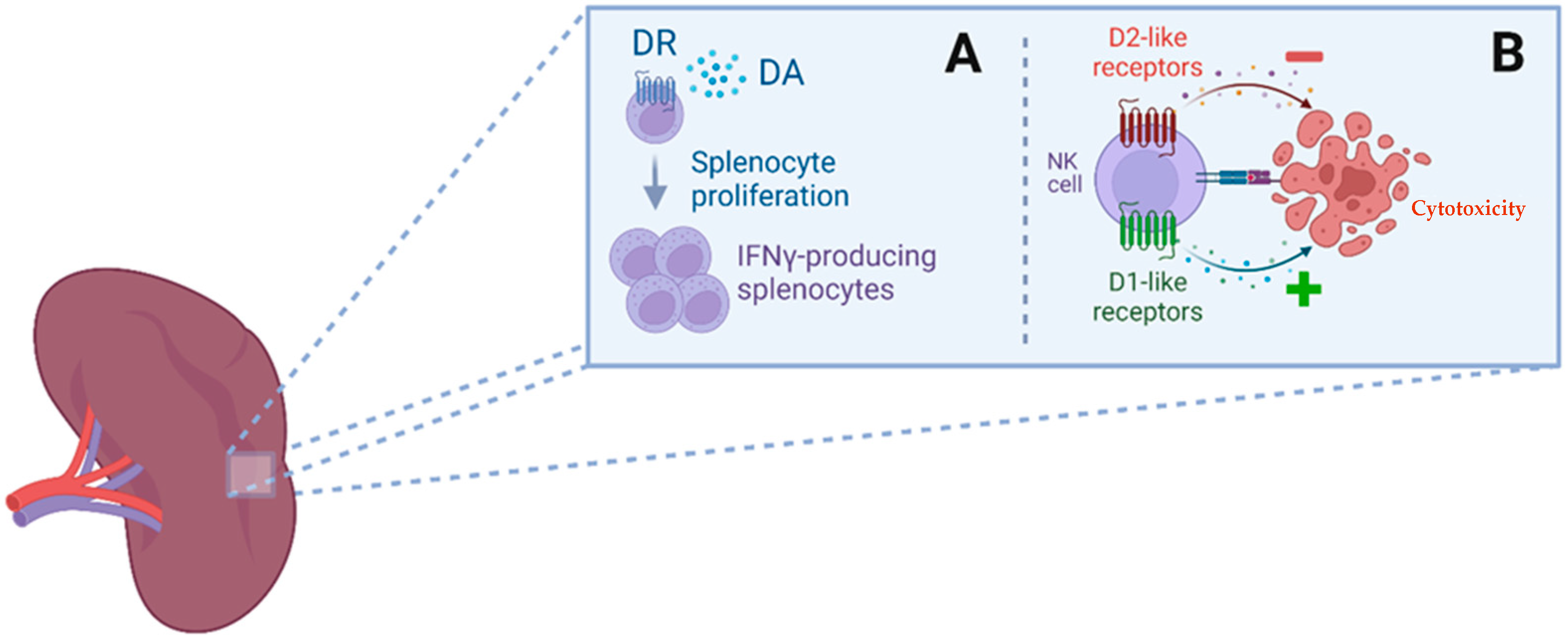 Ijms 24 13816 g002 Ijms 24 13816 g002