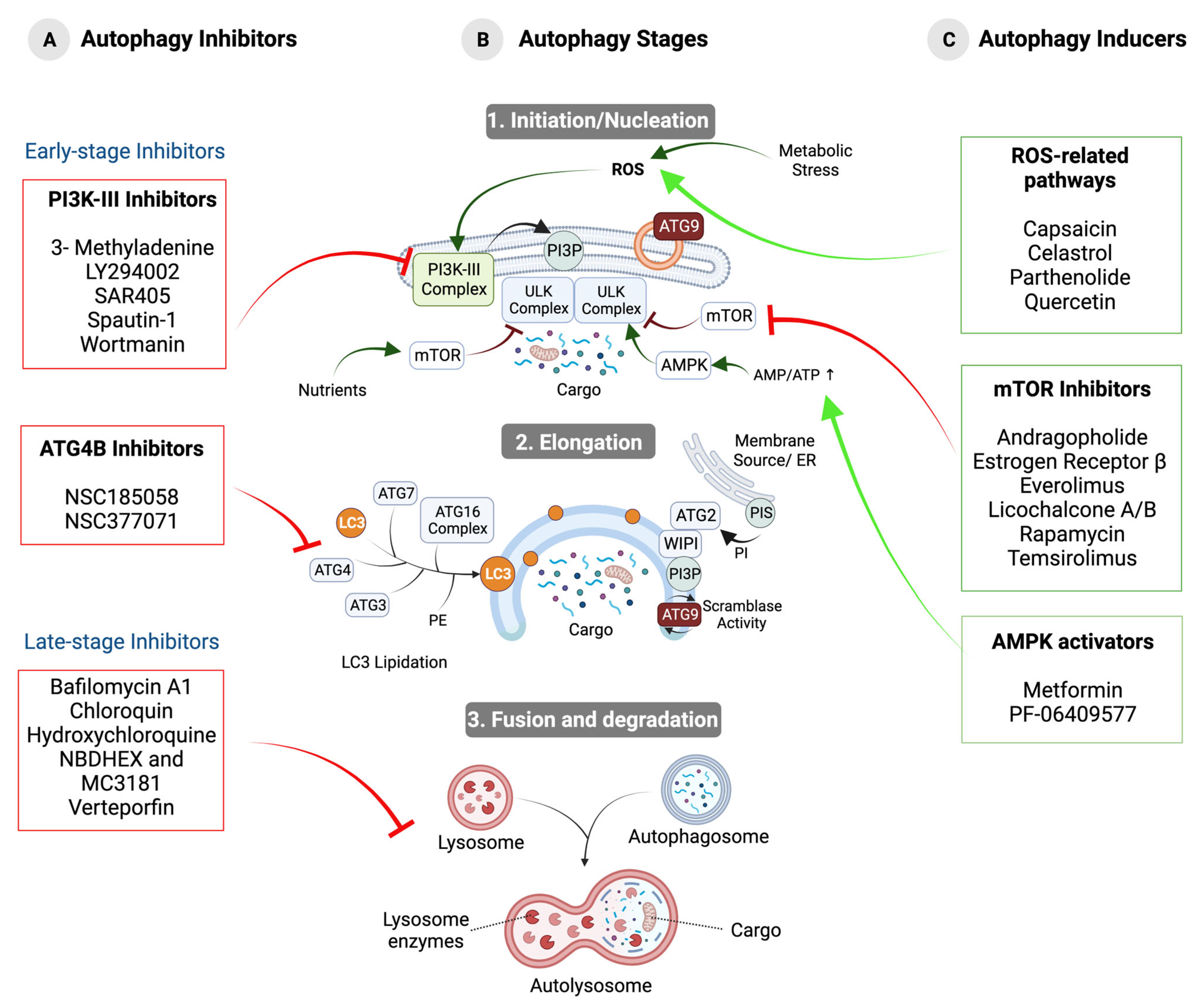 Ijms 24 13827 g001 Ijms 24 13827 g001
