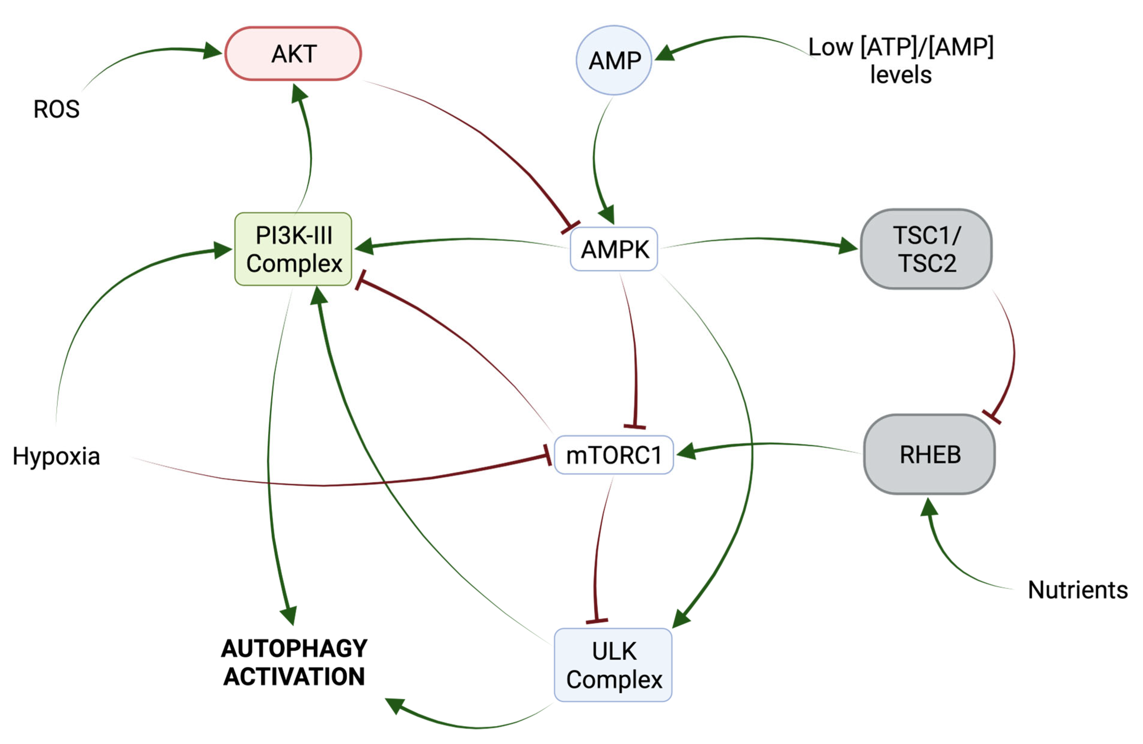 Ijms 24 13827 g002 Ijms 24 13827 g002