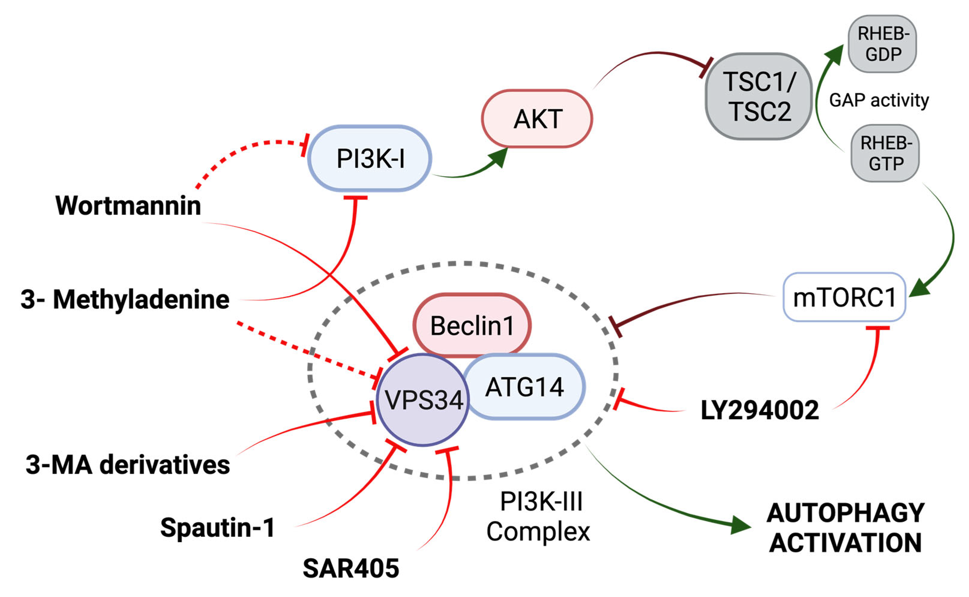 Ijms 24 13827 g003 Ijms 24 13827 g003