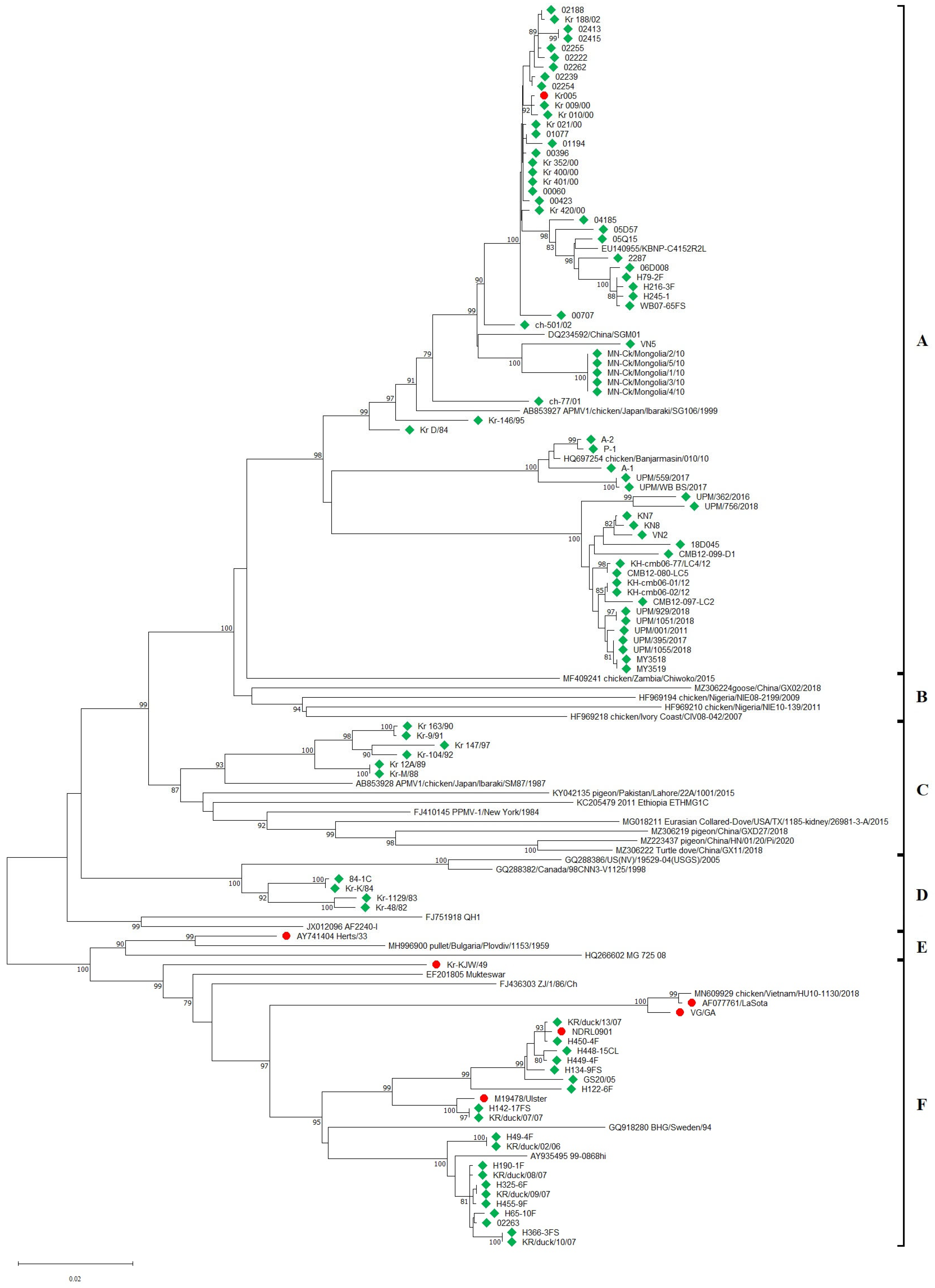 Ijms 24 13847 g003 Ijms 24 13847 g003