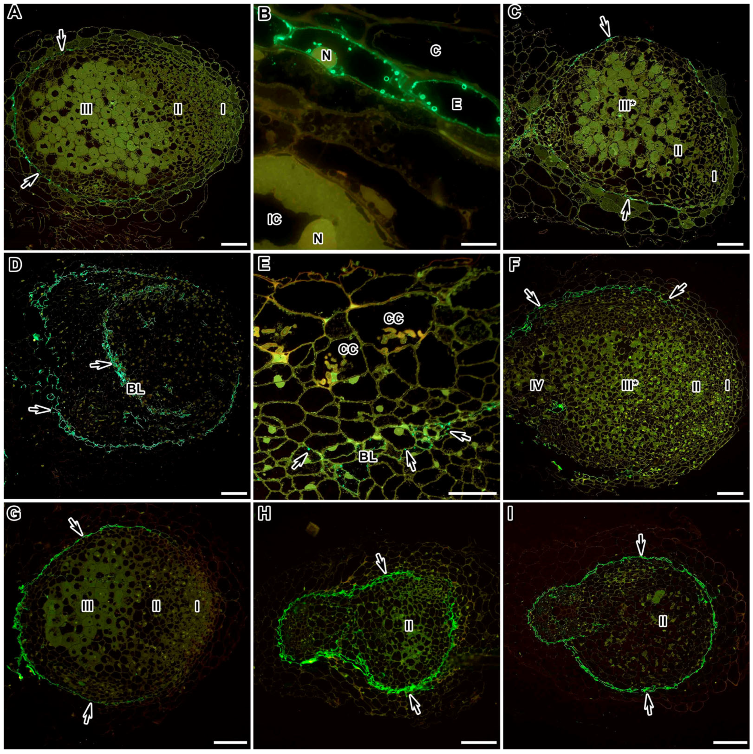 Ijms 24 13850 g009 Ijms 24 13850 g009