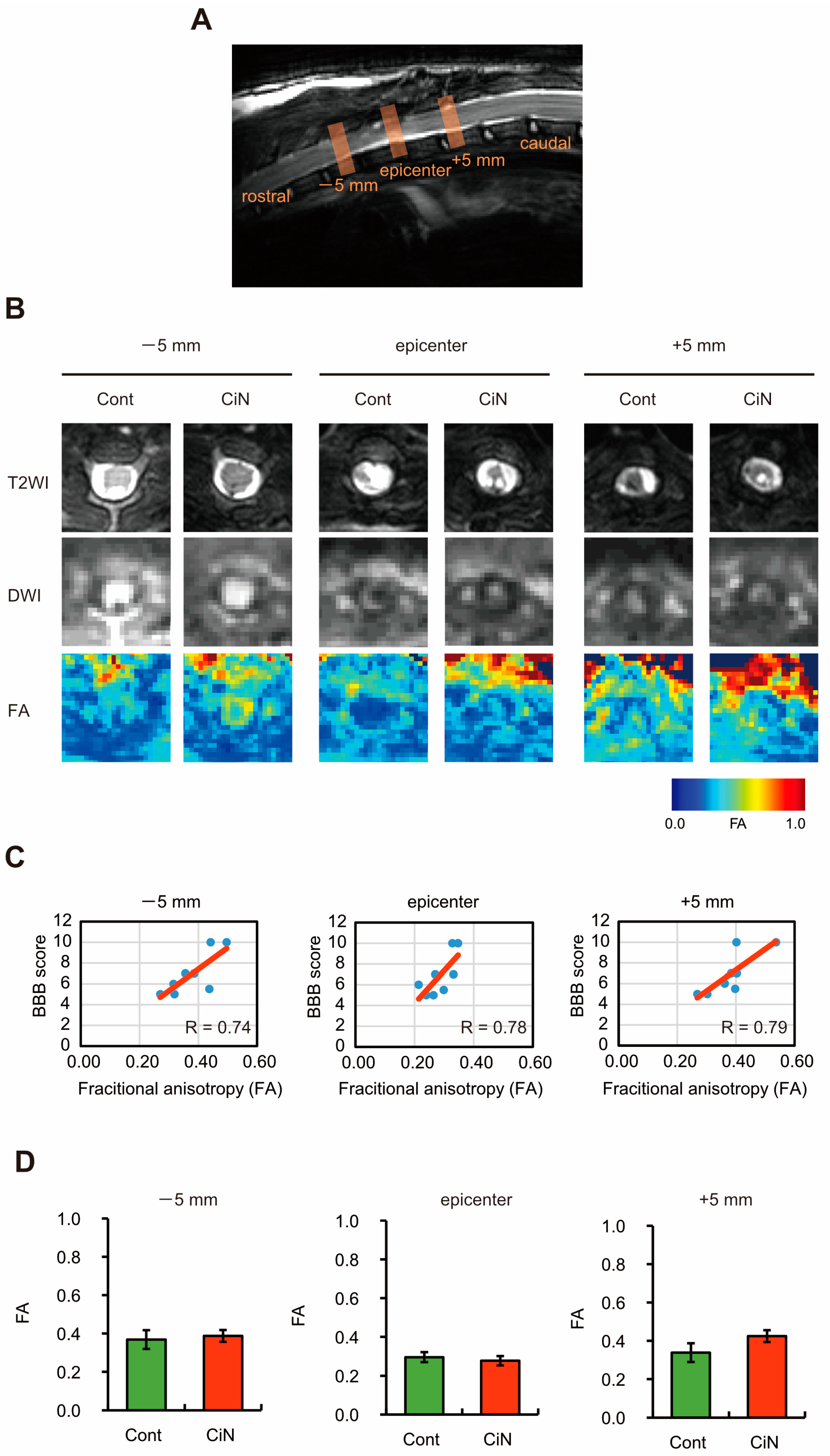 Ijms 24 13853 g003 Ijms 24 13853 g003