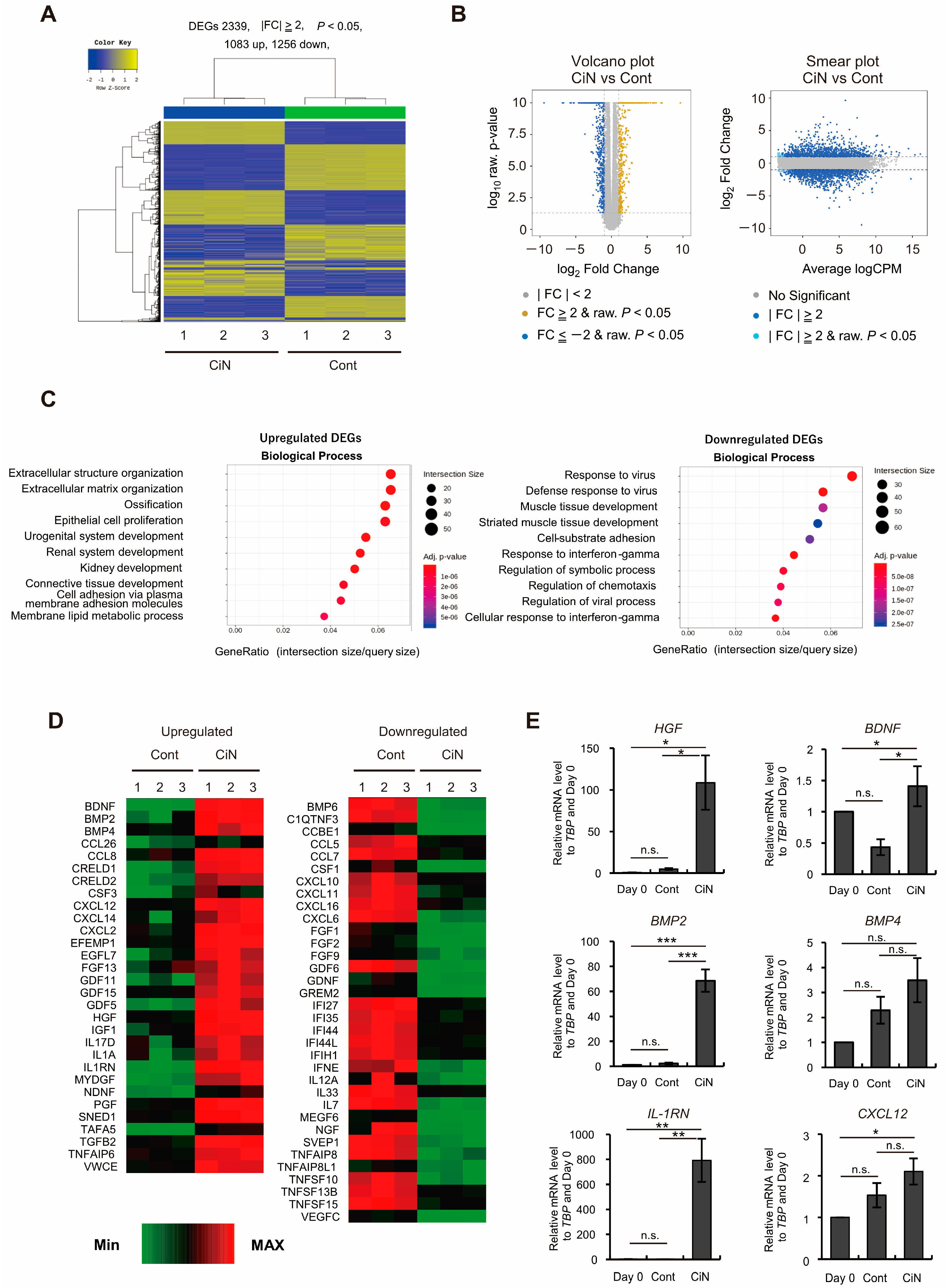 Ijms 24 13853 g006 Ijms 24 13853 g006