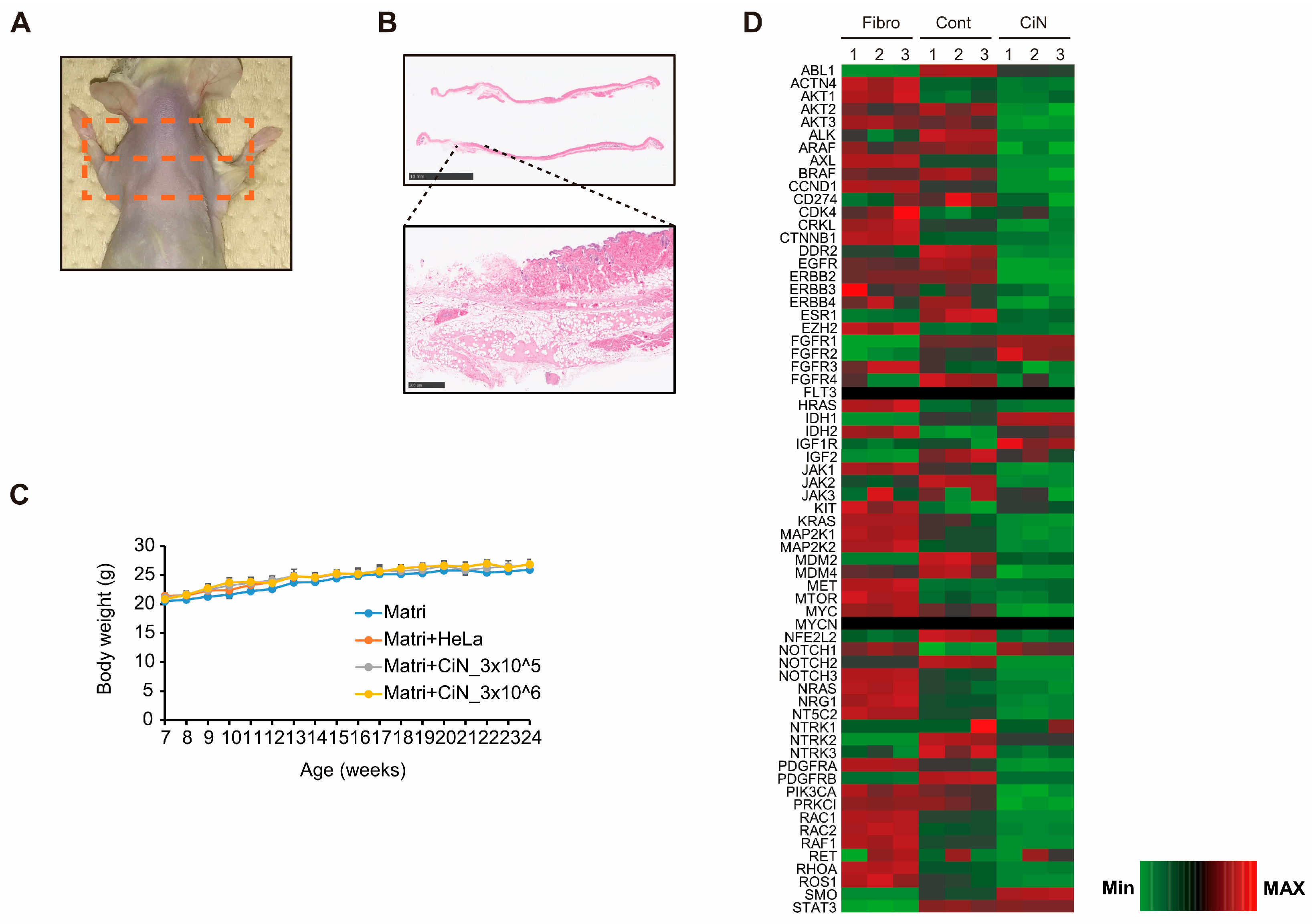 Ijms 24 13853 g008 Ijms 24 13853 g008
