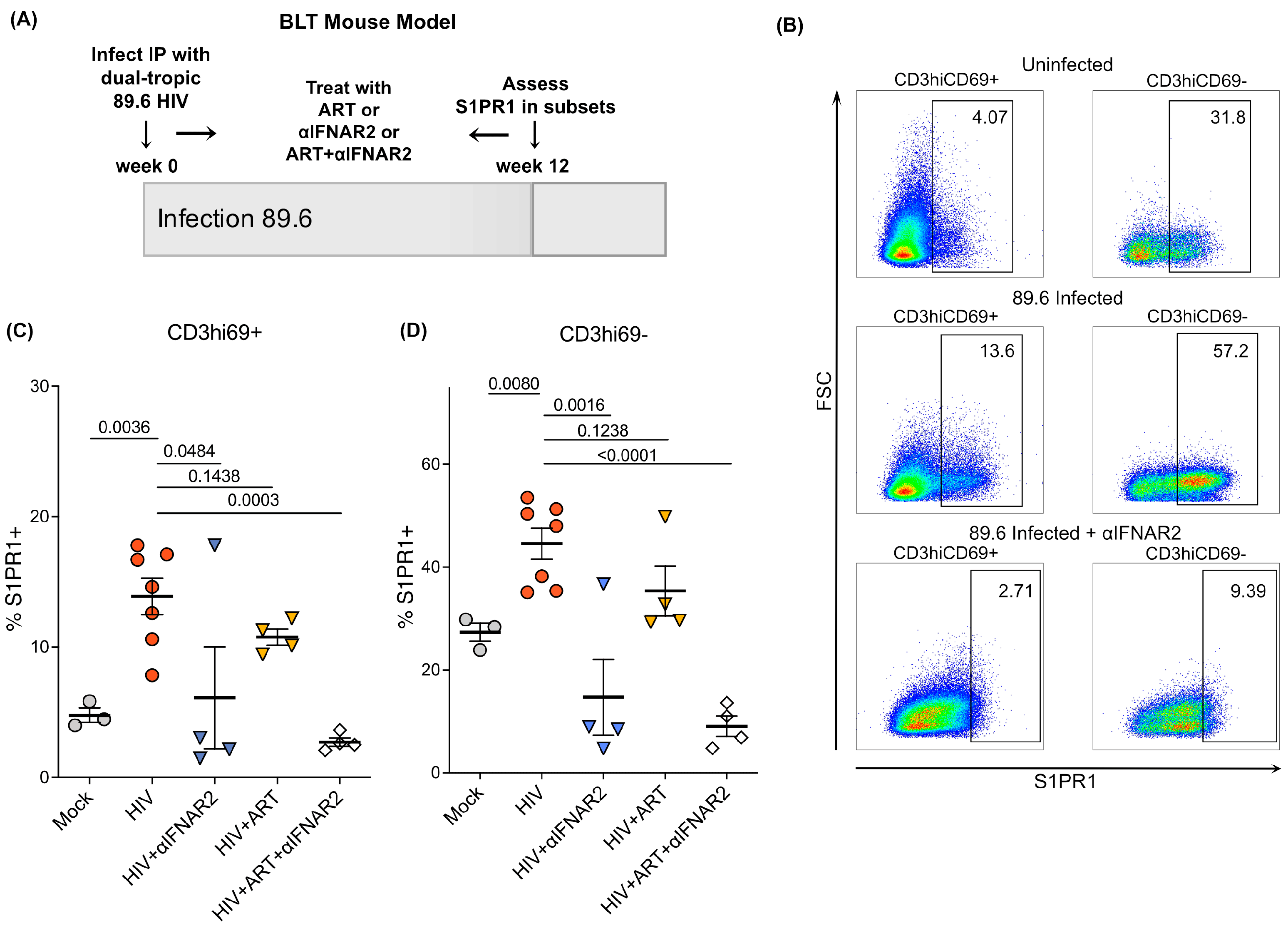 Ijms 24 13865 g003 Ijms 24 13865 g003
