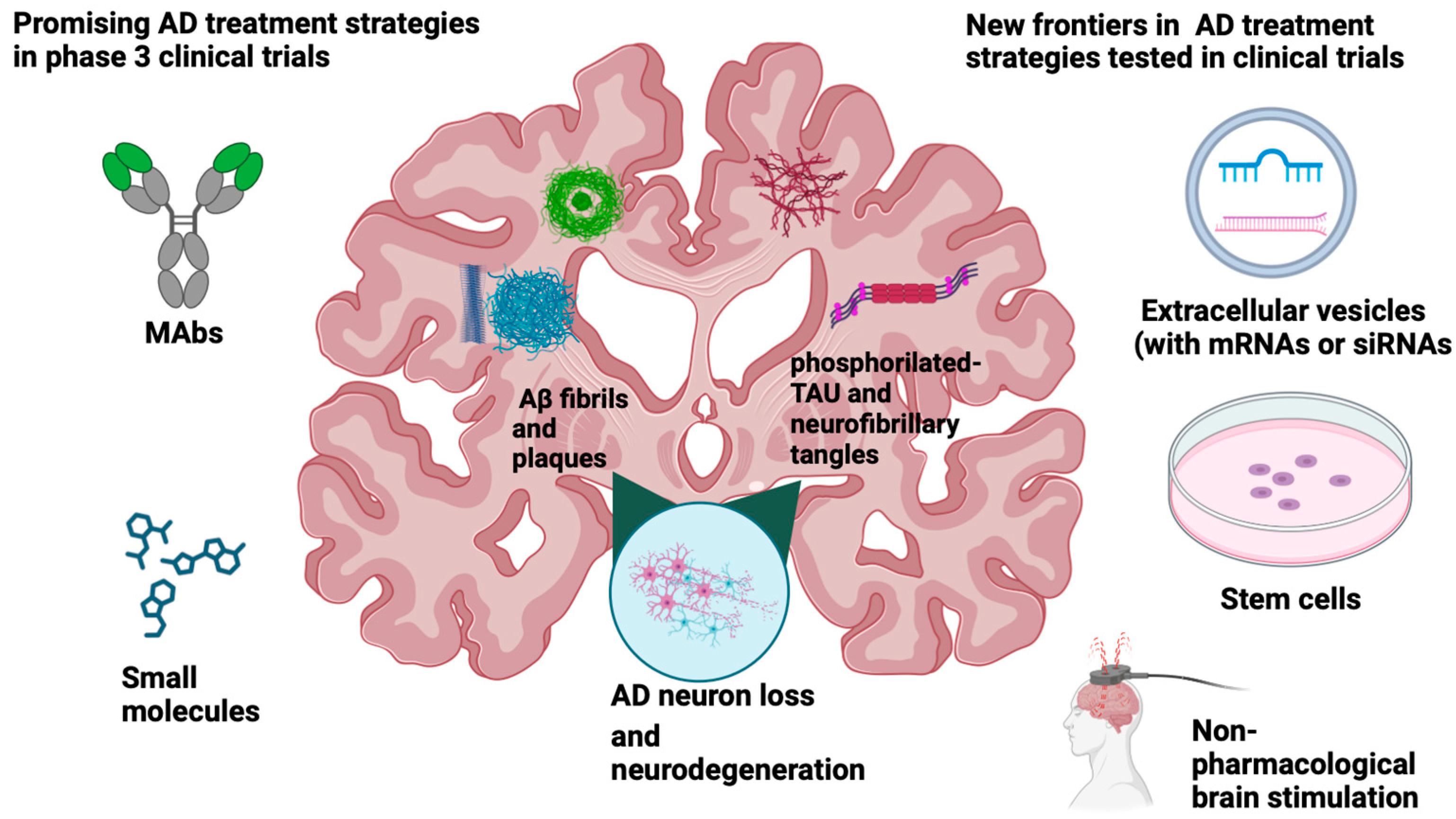 Frontiers  Lysosomal Diseases and Neuropsychiatry: Opportunities