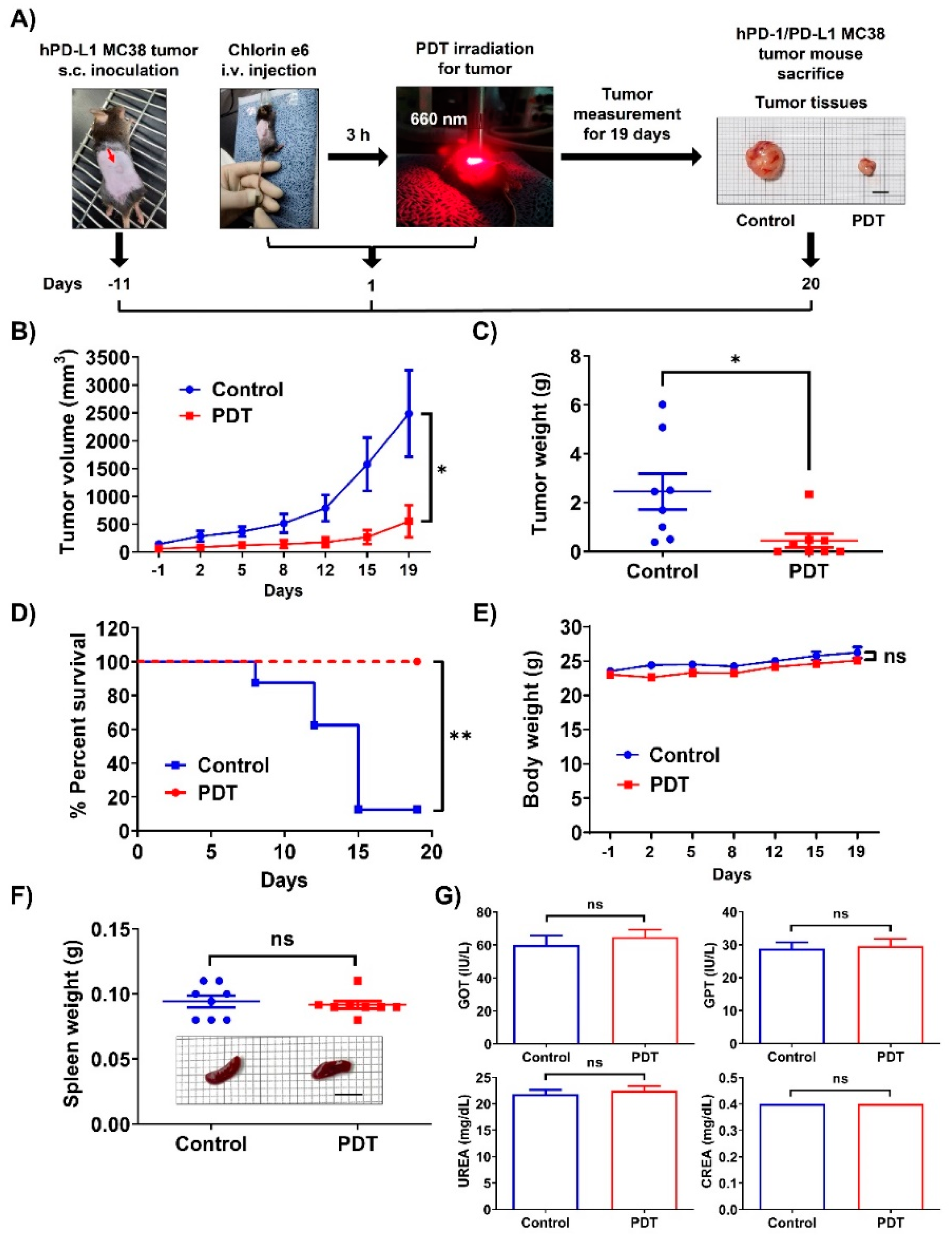 Ijms 24 13913 g001 Ijms 24 13913 g001