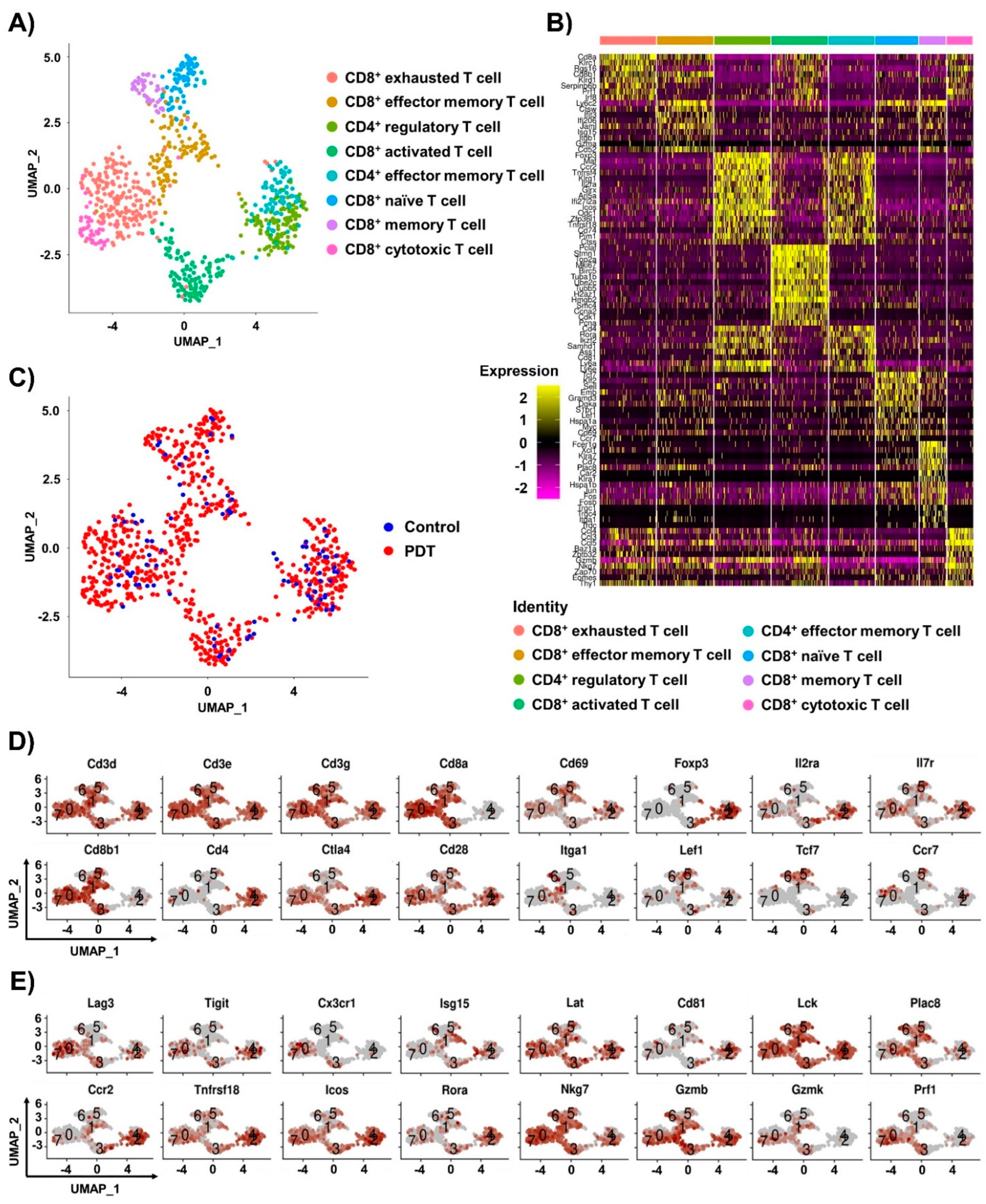 Ijms 24 13913 g002a Ijms 24 13913 g002a
