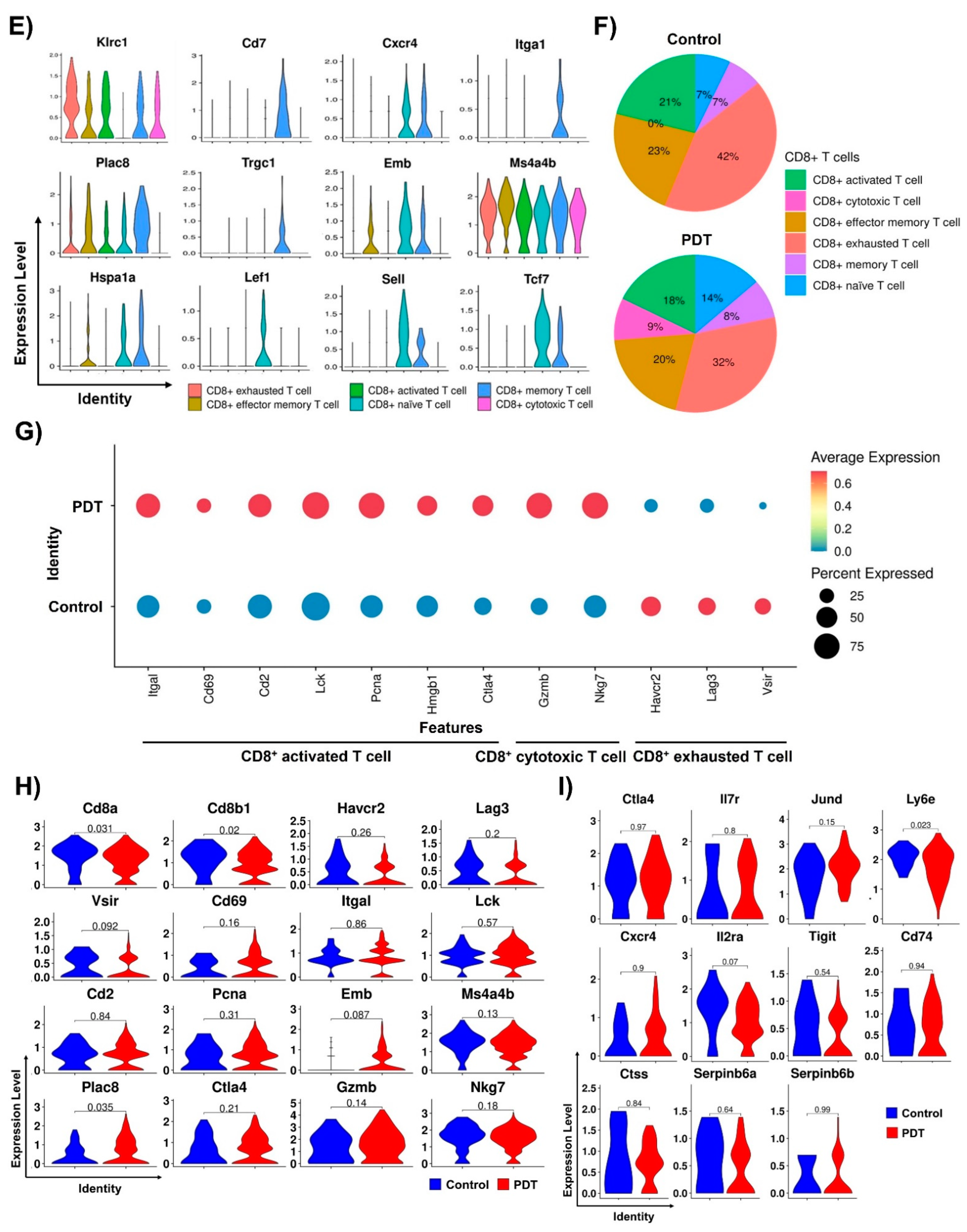 Ijms 24 13913 g003b Ijms 24 13913 g003b