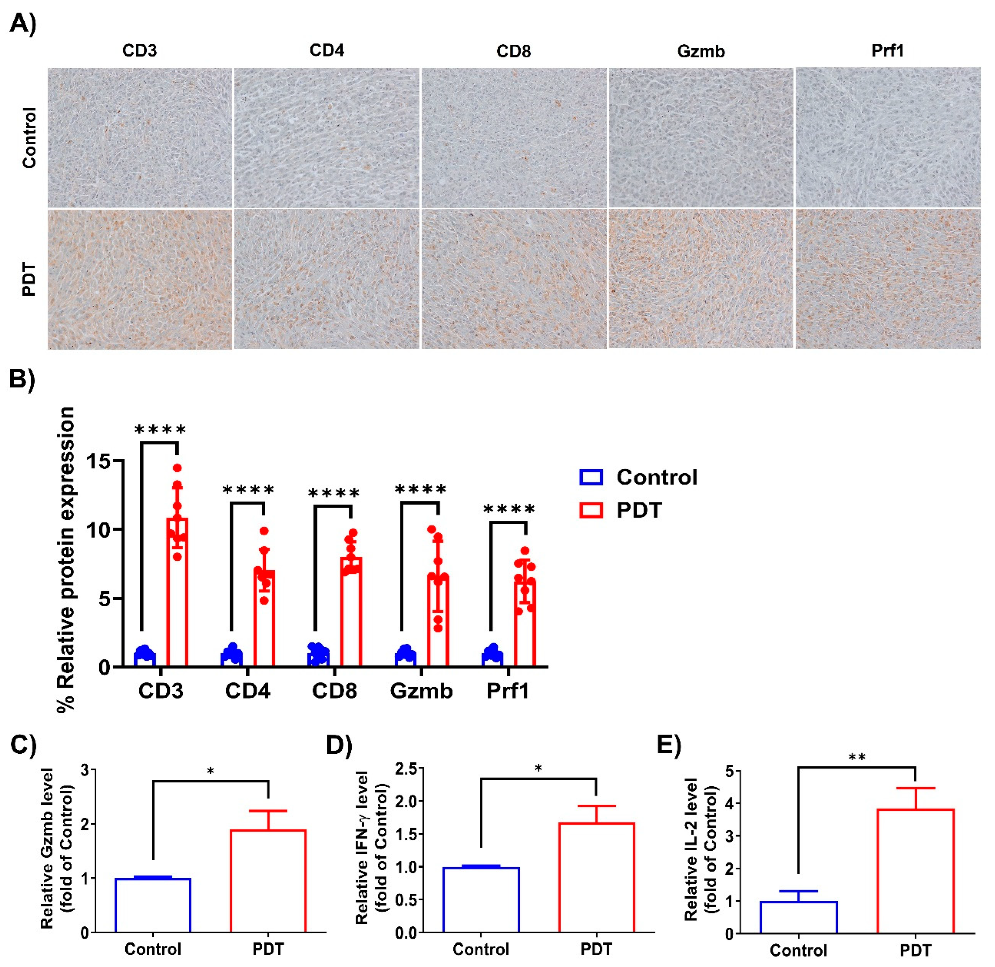 Ijms 24 13913 g004 Ijms 24 13913 g004