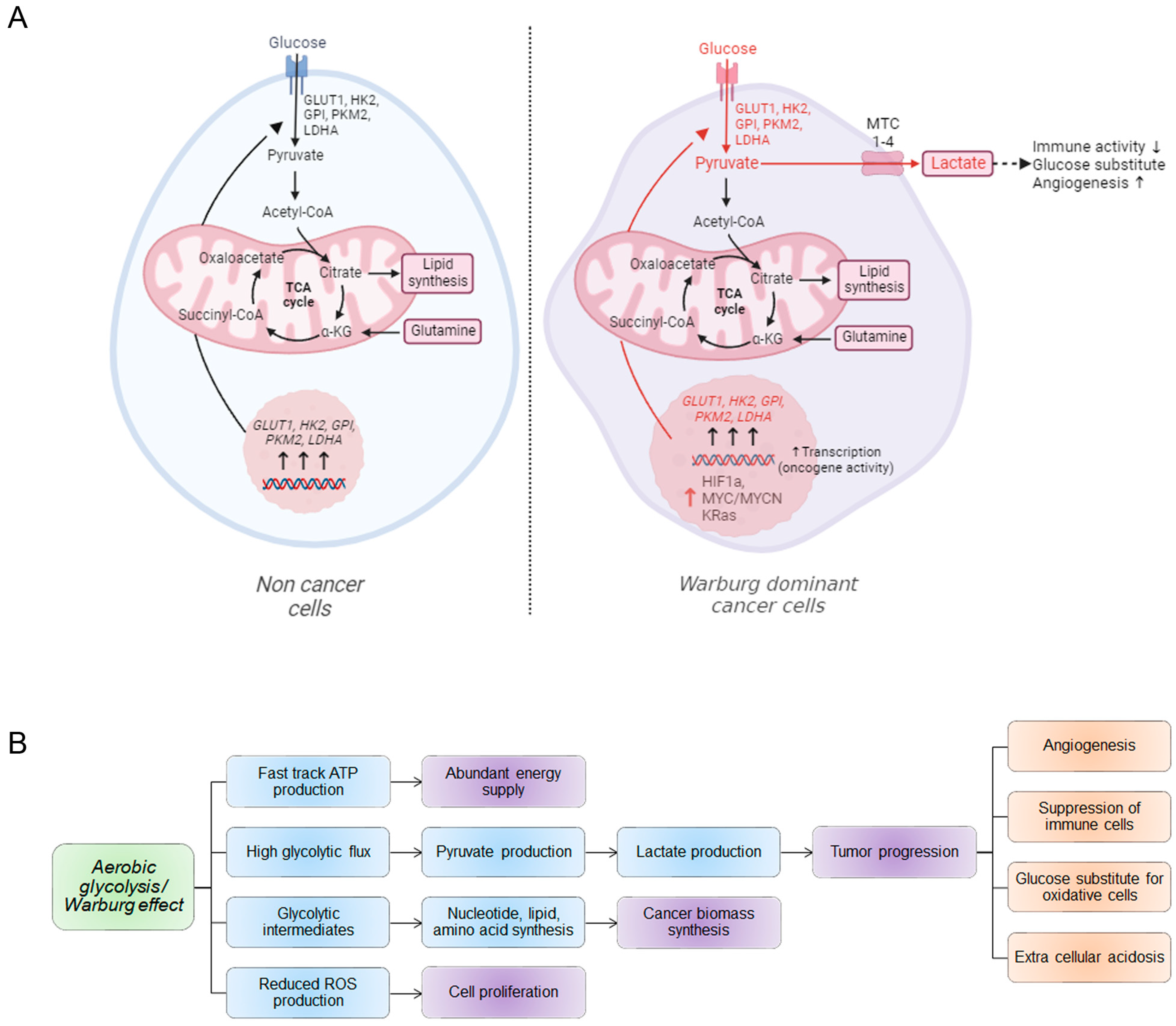 Ijms 24 13928 g002 Ijms 24 13928 g002