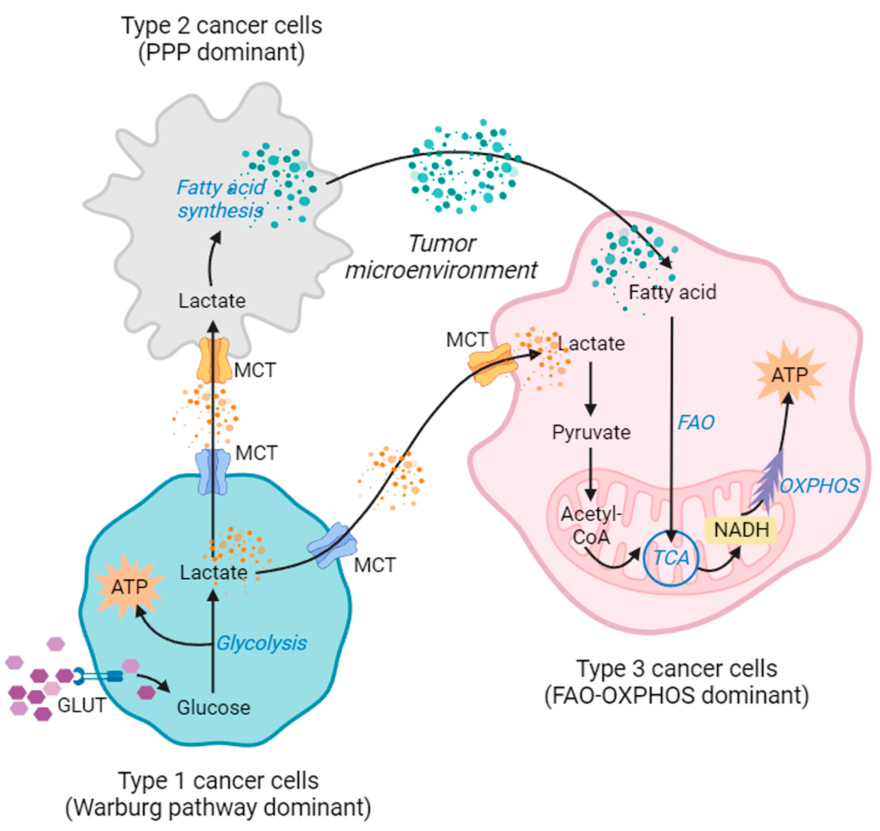 Ijms 24 13928 g004 Ijms 24 13928 g004