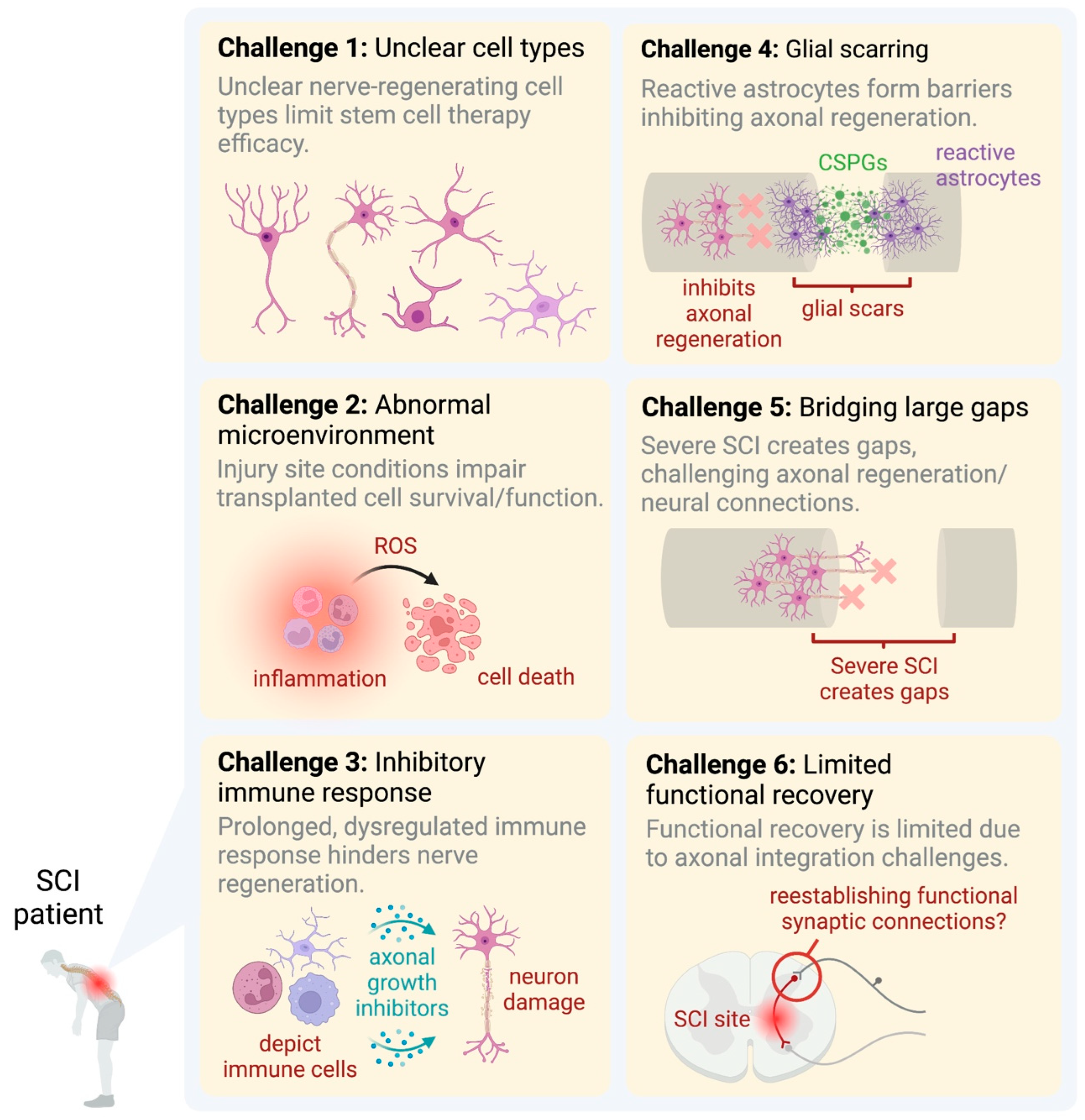 https://www.mdpi.com/ijms/ijms-24-13938/article_deploy/html/images/ijms-24-13938-g001.png