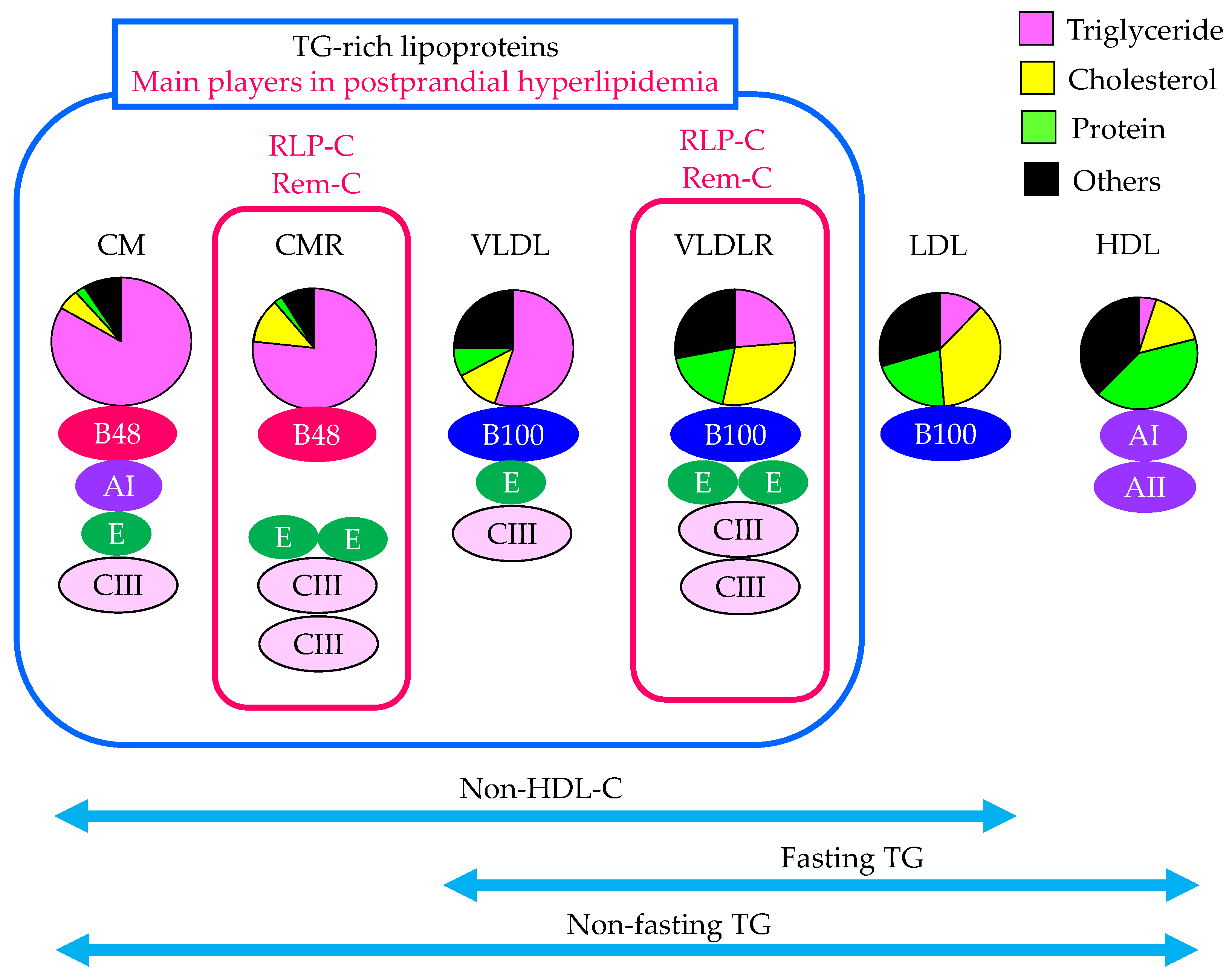 Ijms 24 13942 g001 Ijms 24 13942 g001