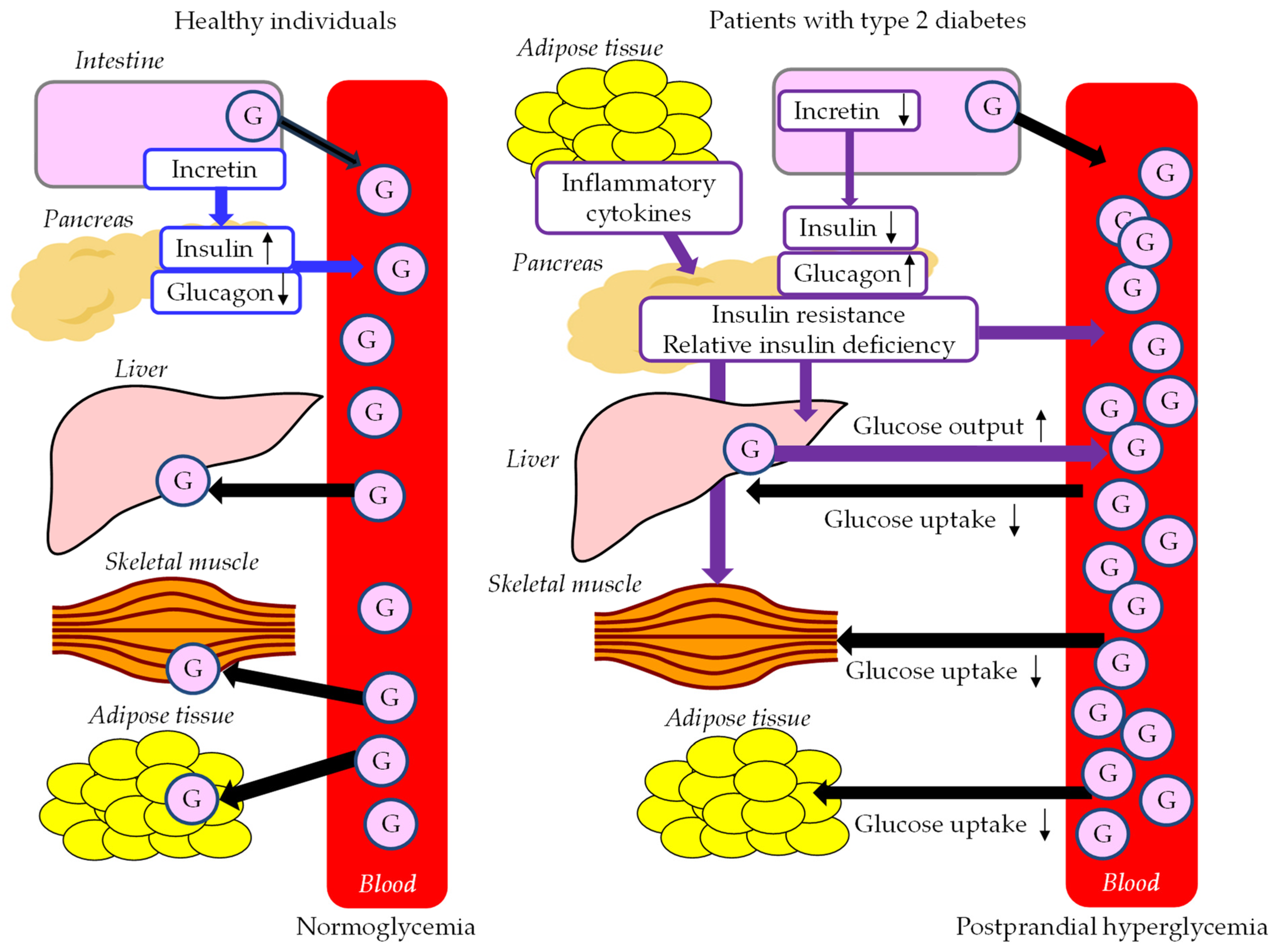 Ijms 24 13942 g003 Ijms 24 13942 g003