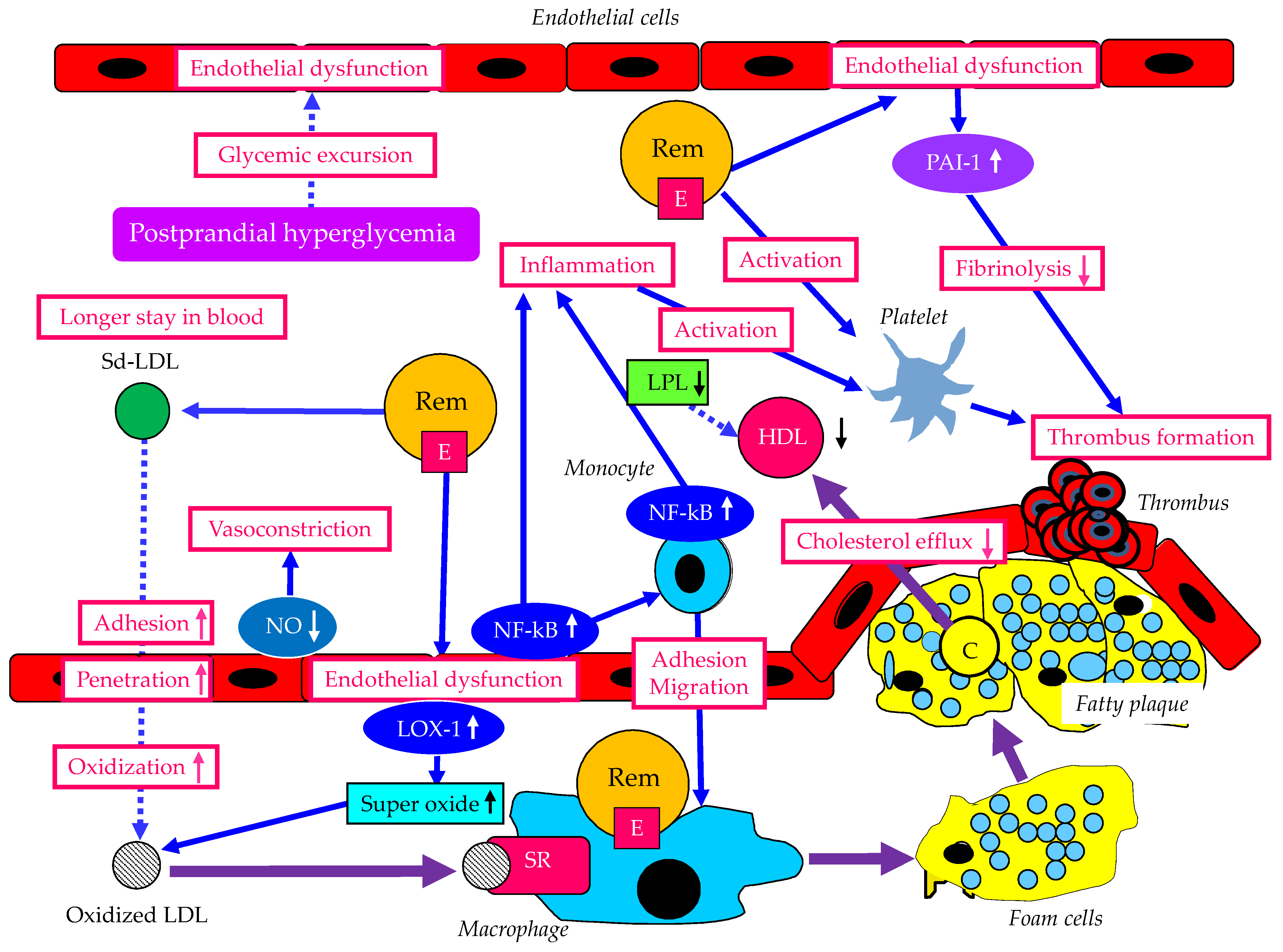 Ijms 24 13942 g005 Ijms 24 13942 g005
