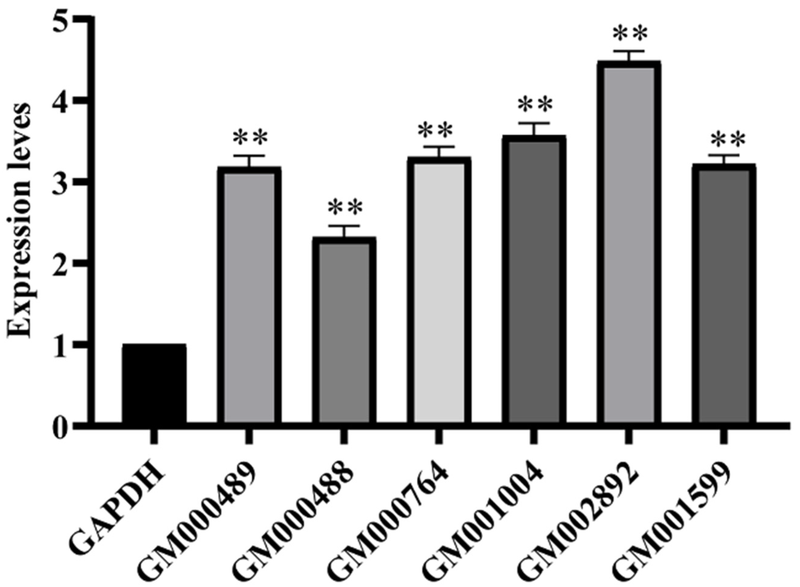 Ijms 24 13943 g004 Ijms 24 13943 g004