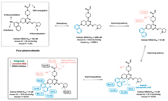 An Updated Review on Developing Small Molecule Kinase Inhibitors