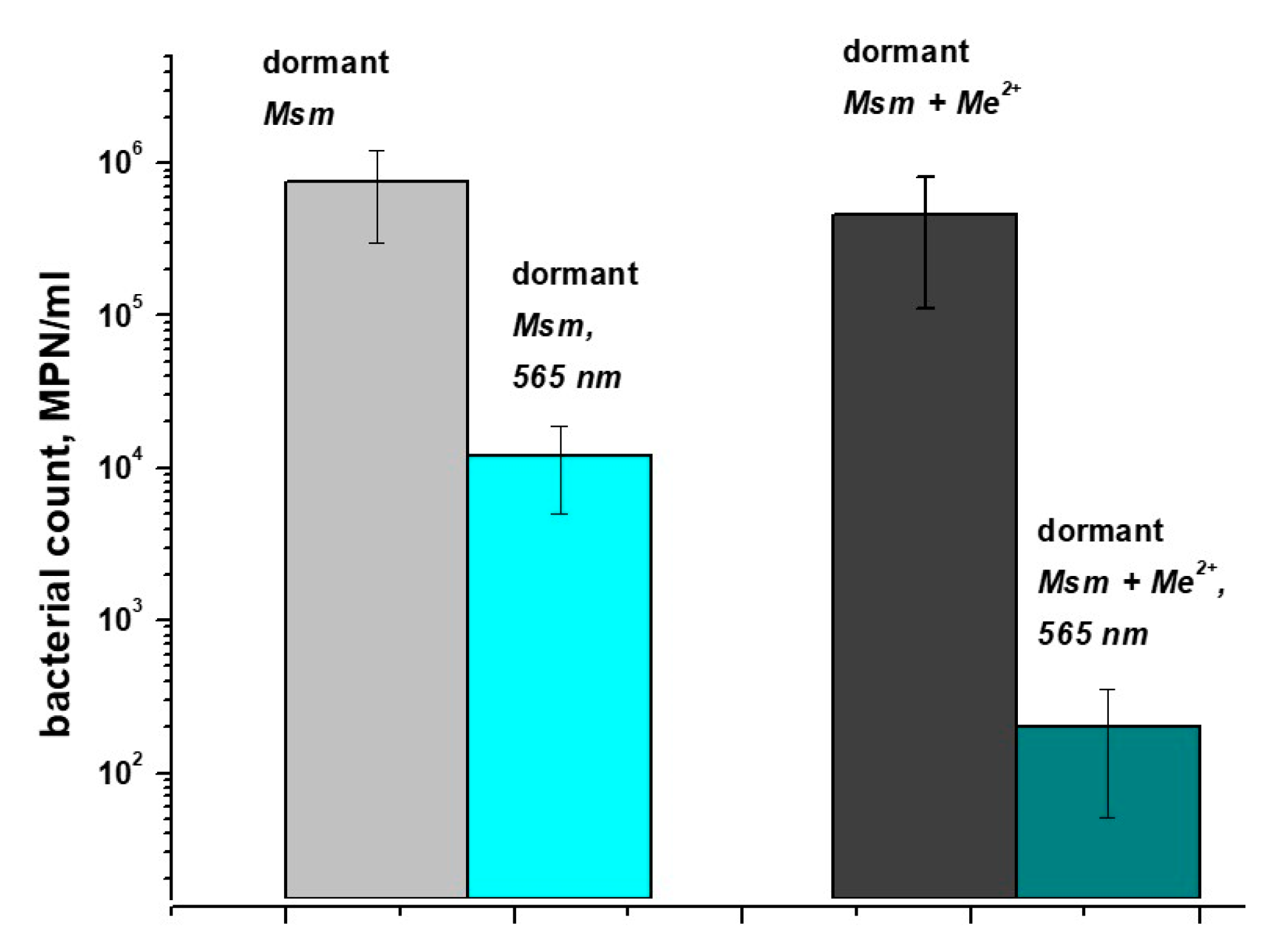 Ijms 24 13968 g001 Ijms 24 13968 g001