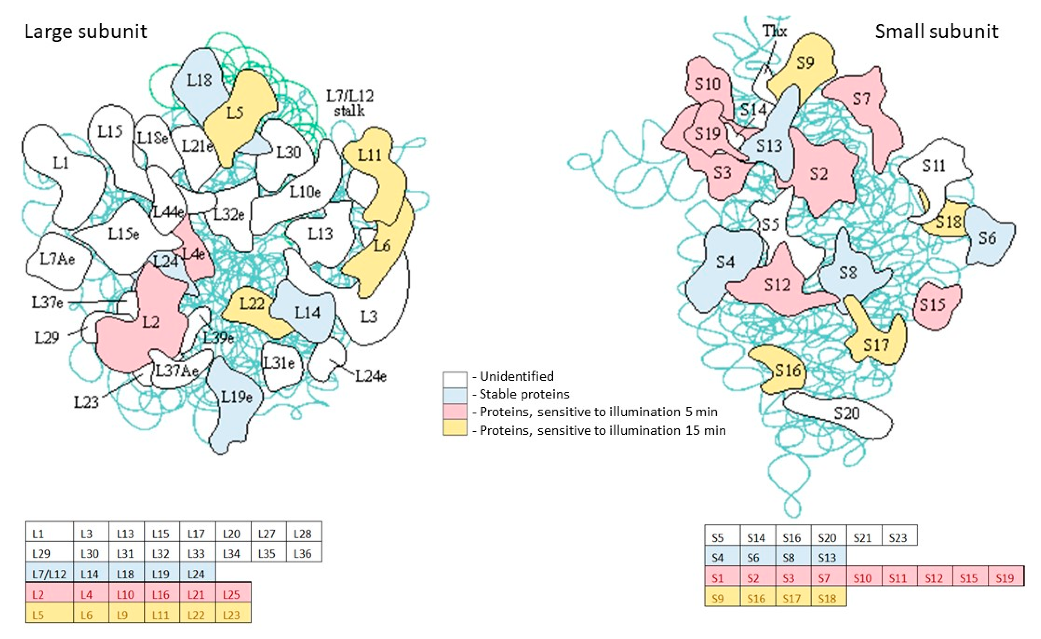 Ijms 24 13968 g009 Ijms 24 13968 g009