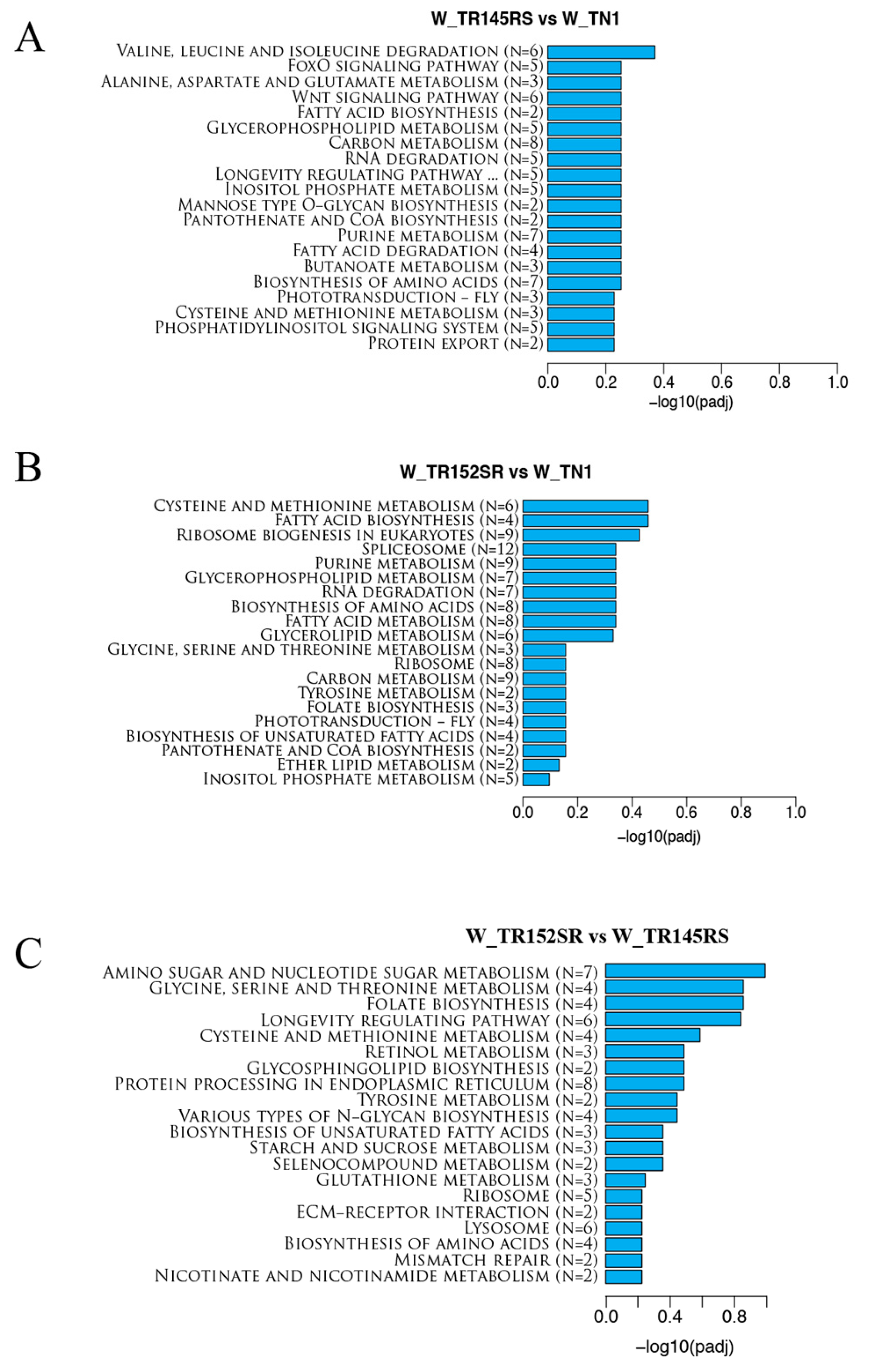 Ijms 24 13982 g004 Ijms 24 13982 g004