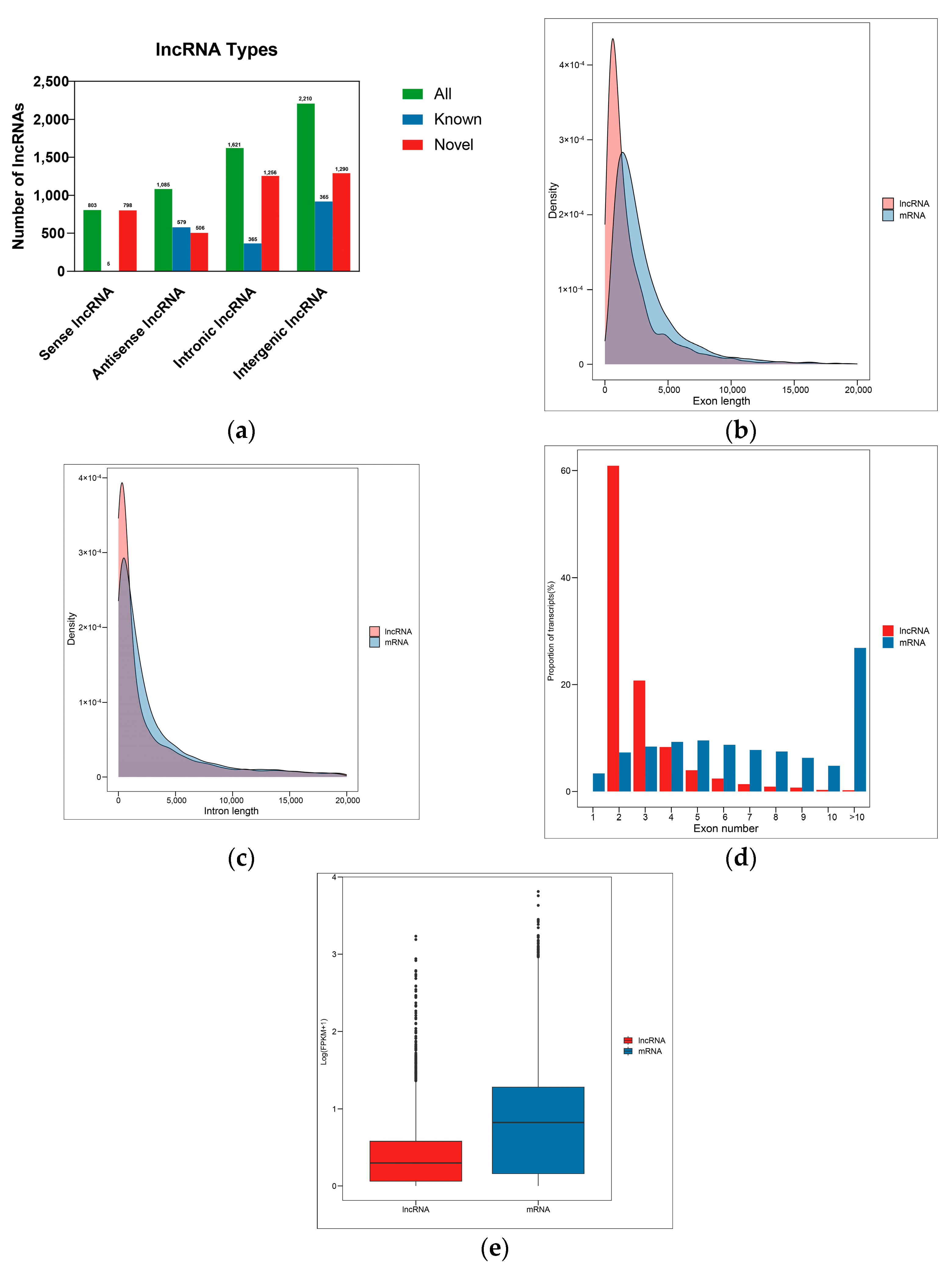 Transcriptomic Analysis of Metarhizium anisopliae-Induced