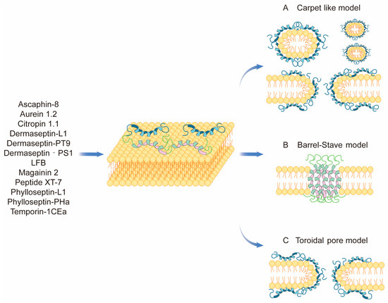 モダンオペレーティングシステム Amphibian-Derived Natural Anticancer Peptides and Proteins