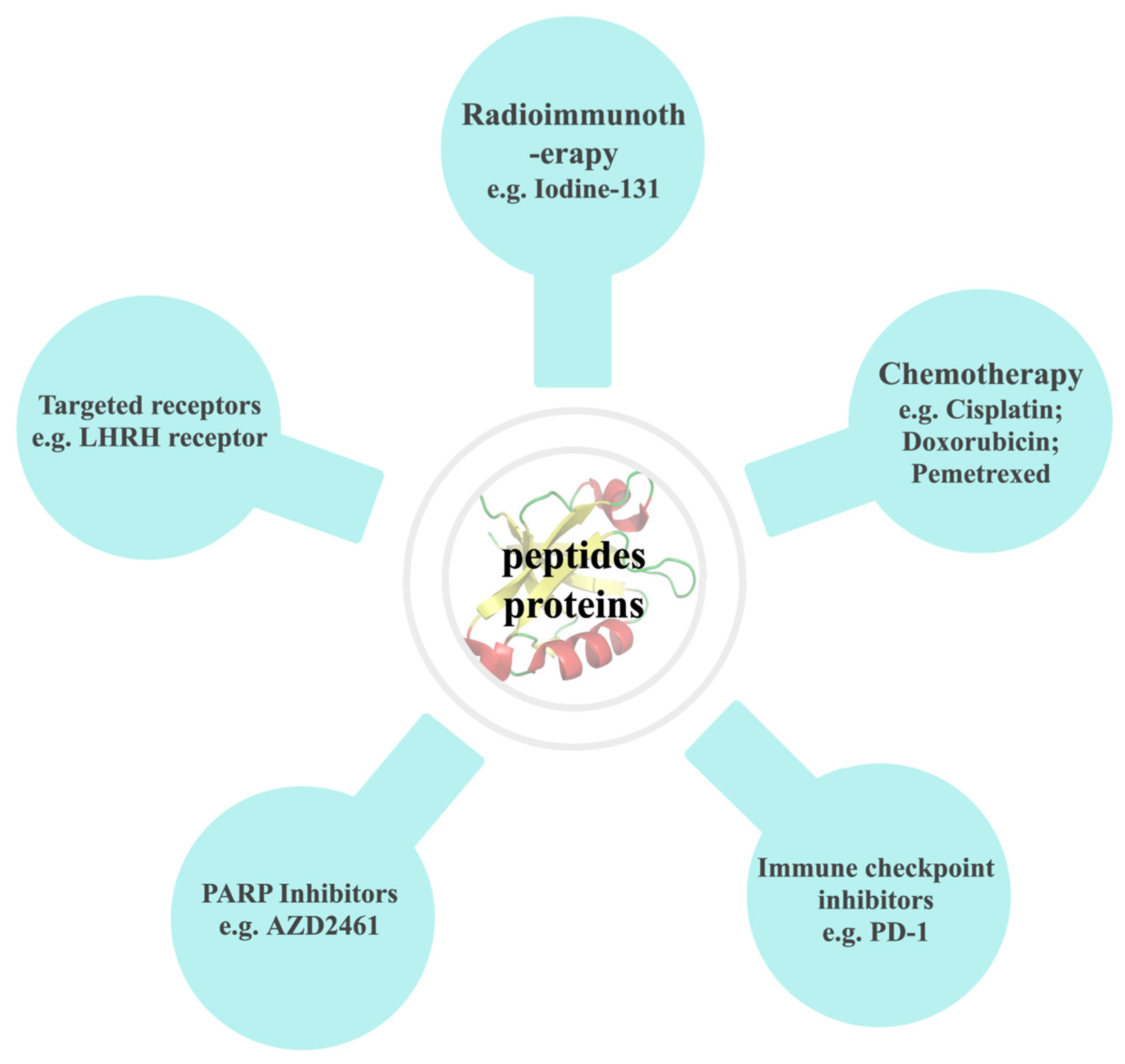 Amphibian-Derived Natural Anticancer Peptides and Proteins