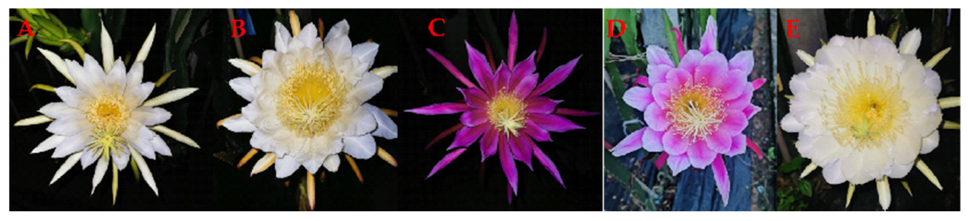 Ijms 24 13986 g004 Ijms 24 13986 g004