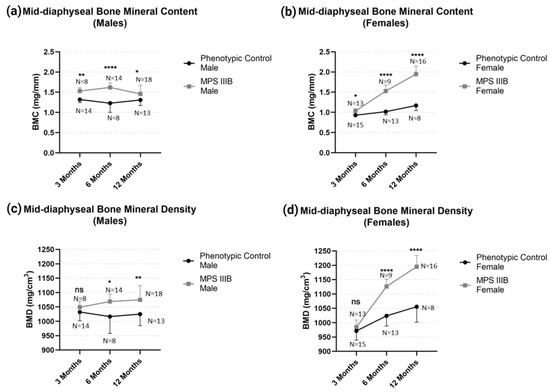 ビタミン Femoral Structure and Biomechanical Characteristics in Sanfilippo