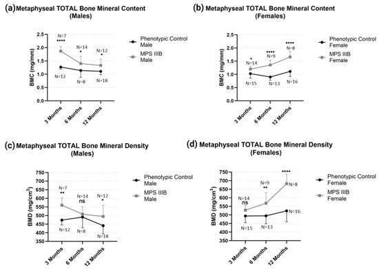 Femoral Structure and Biomechanical Characteristics in Sanfilippo
