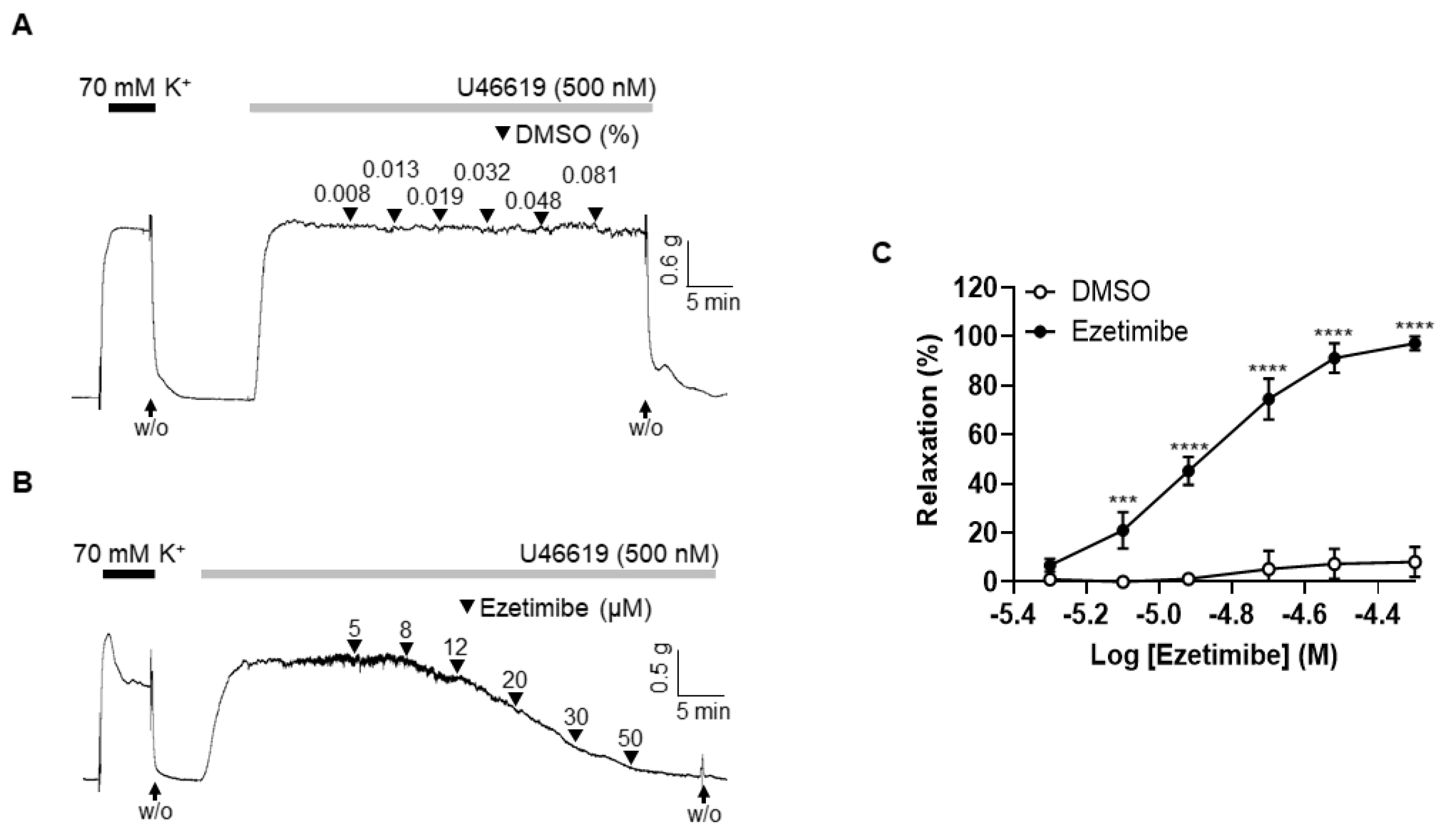 Ijms 24 13992 g001 Ijms 24 13992 g001