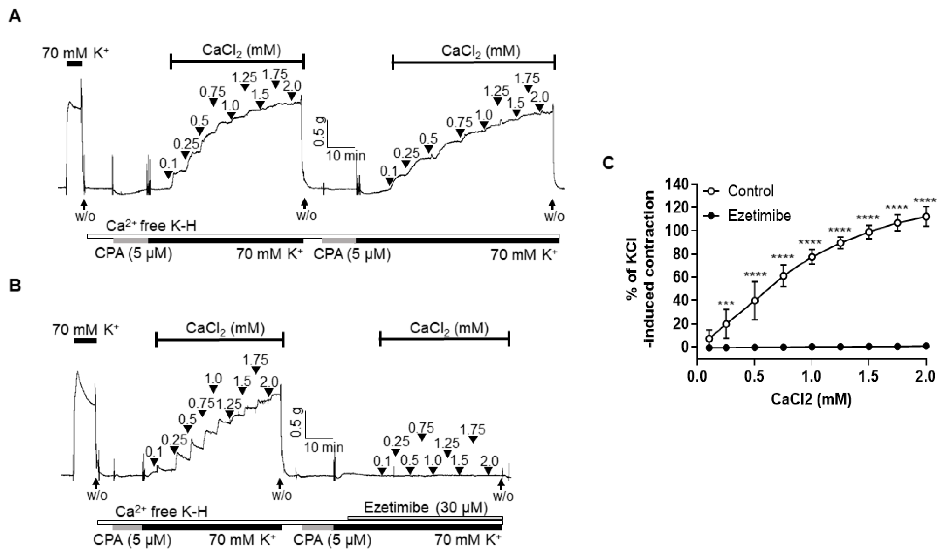 Ijms 24 13992 g004 Ijms 24 13992 g004