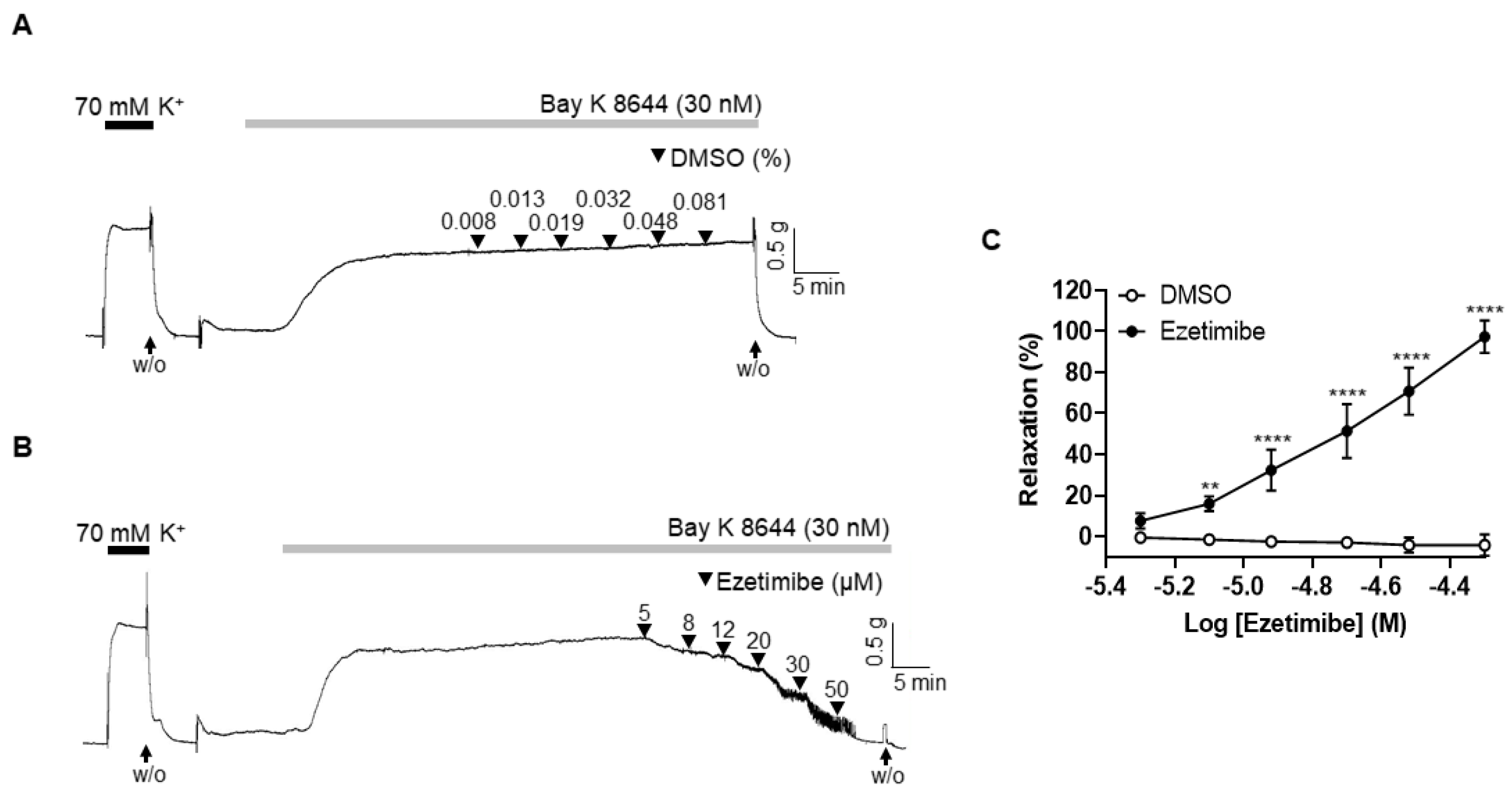Ijms 24 13992 g005 Ijms 24 13992 g005
