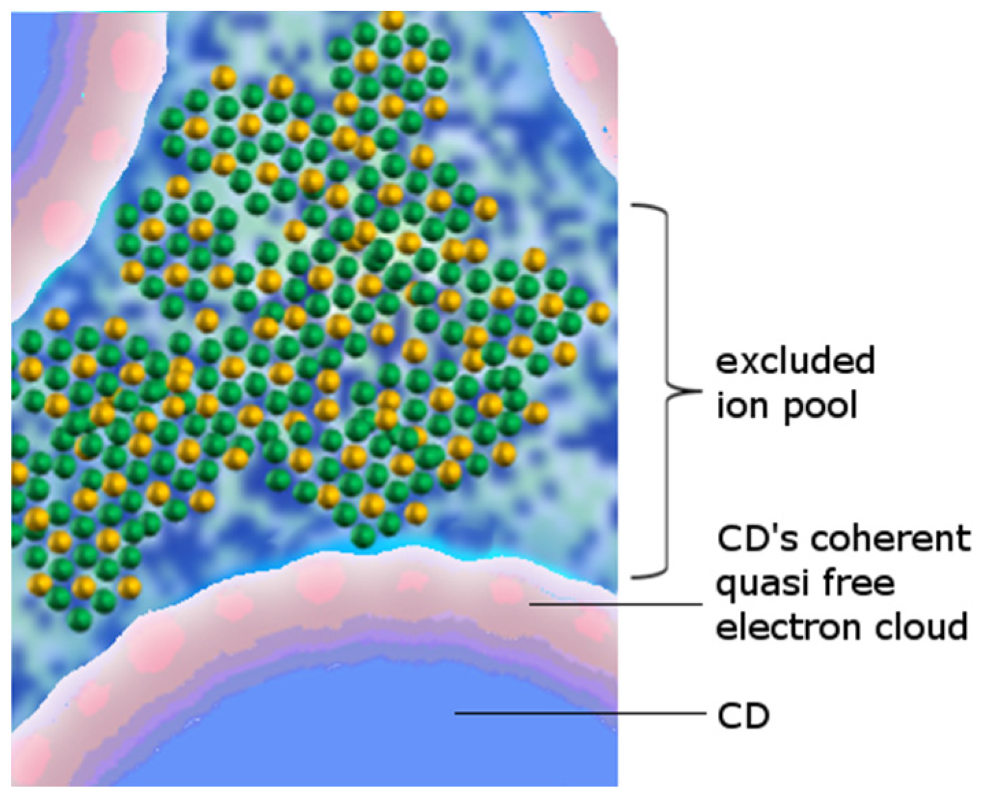 Ijms 24 14003 g005 Ijms 24 14003 g005