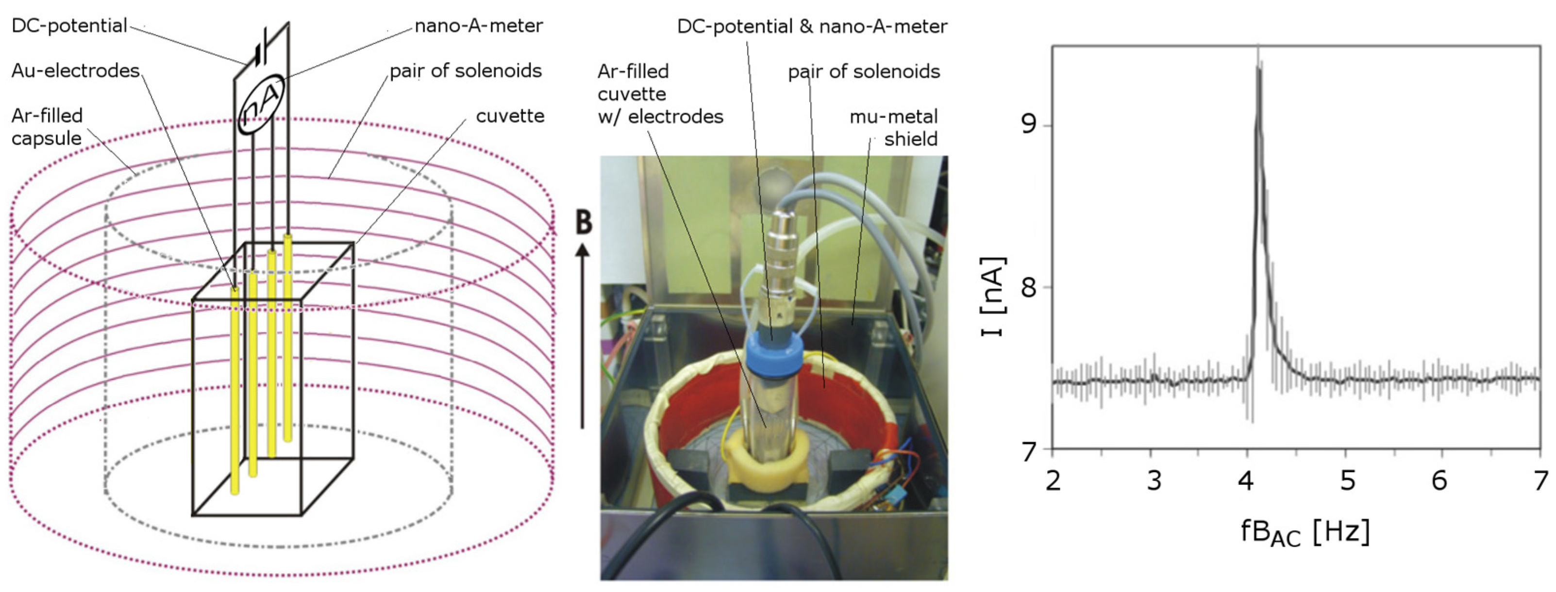 Ijms 24 14003 g006 Ijms 24 14003 g006