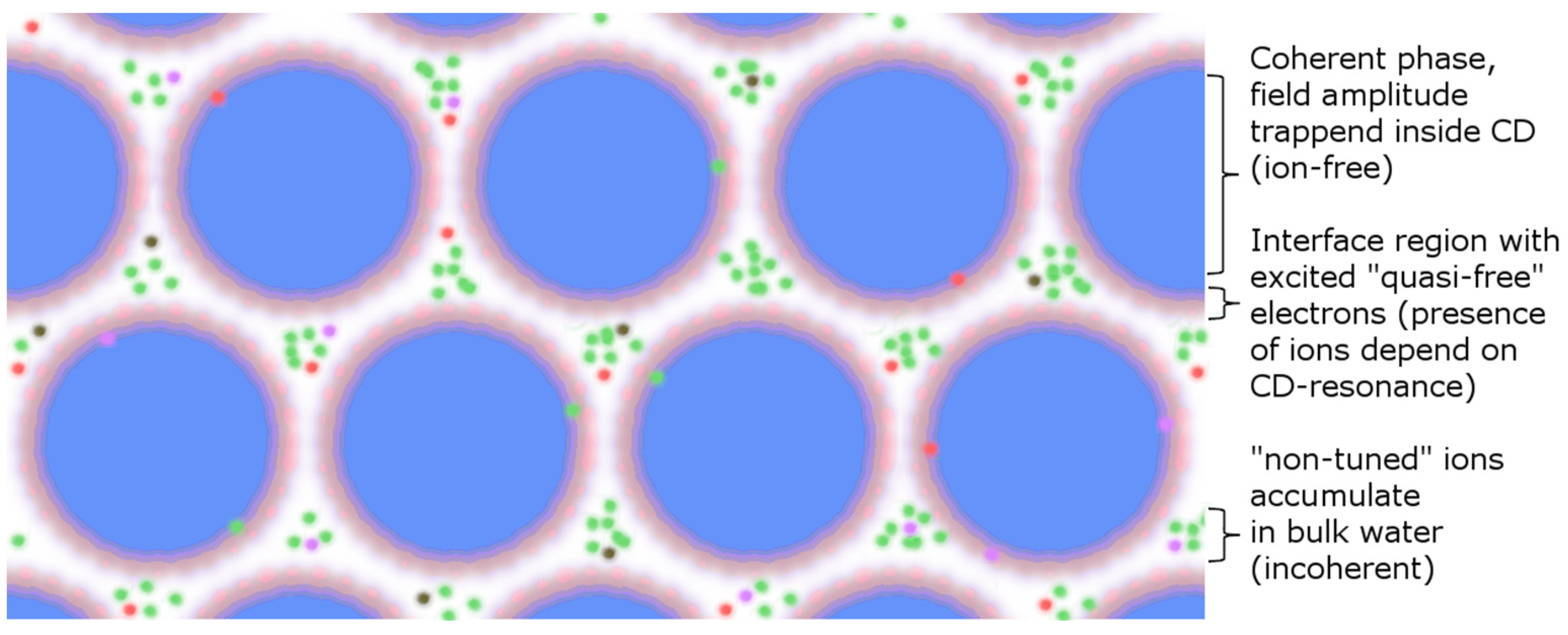 Ijms 24 14003 g007 Ijms 24 14003 g007